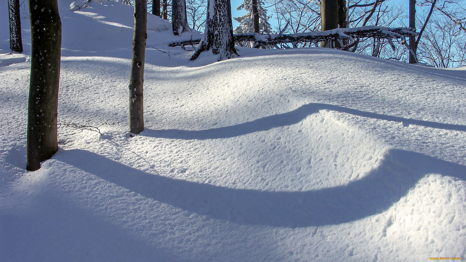 природа, зима, сугробы, снег
