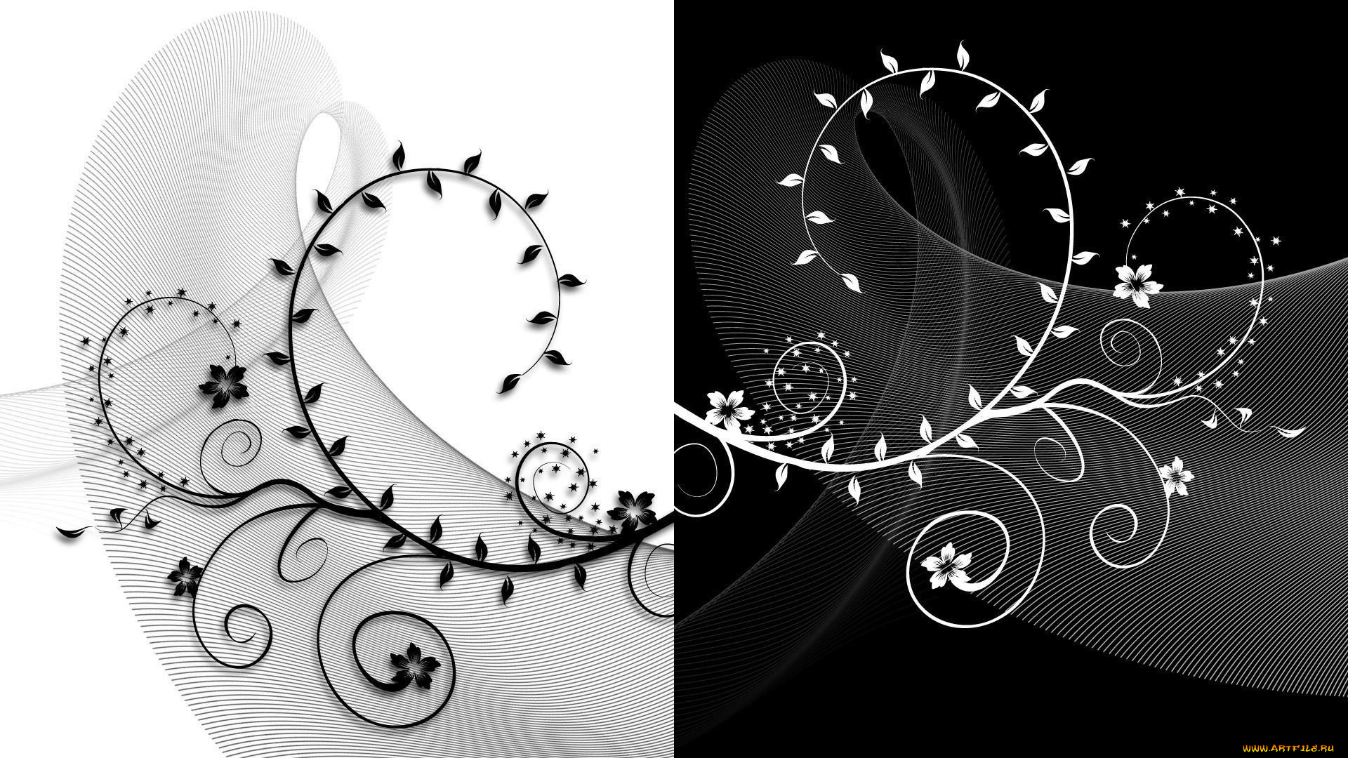 векторная, графика, цветы, , flowers, сетка, лоза, цветы