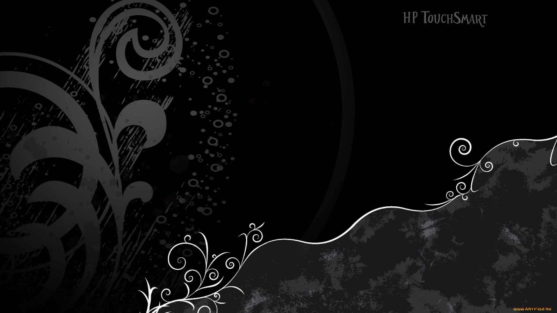 векторная, графика, цветы, , flowers, завитки, растение