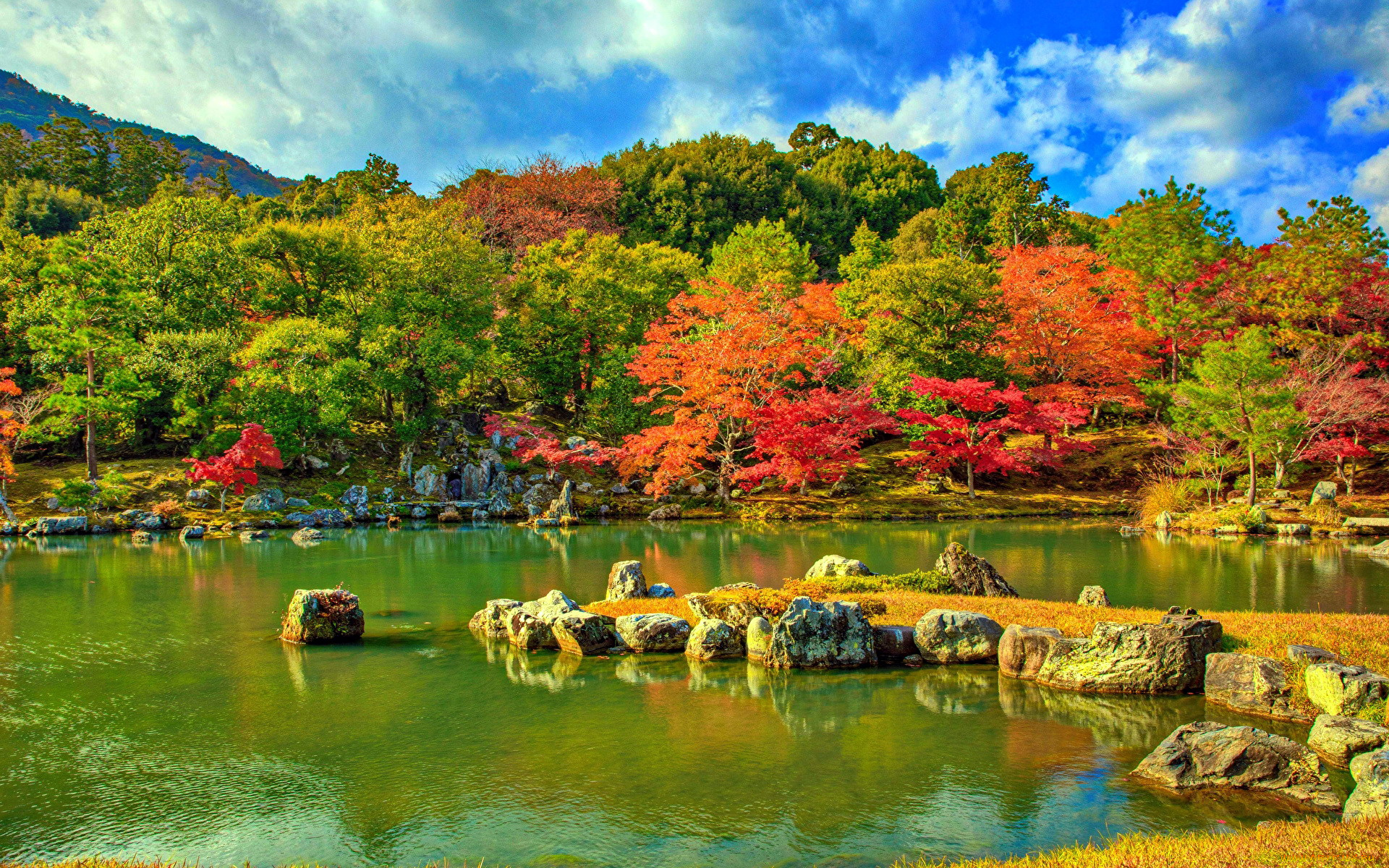 природа, парк, осень, водоем