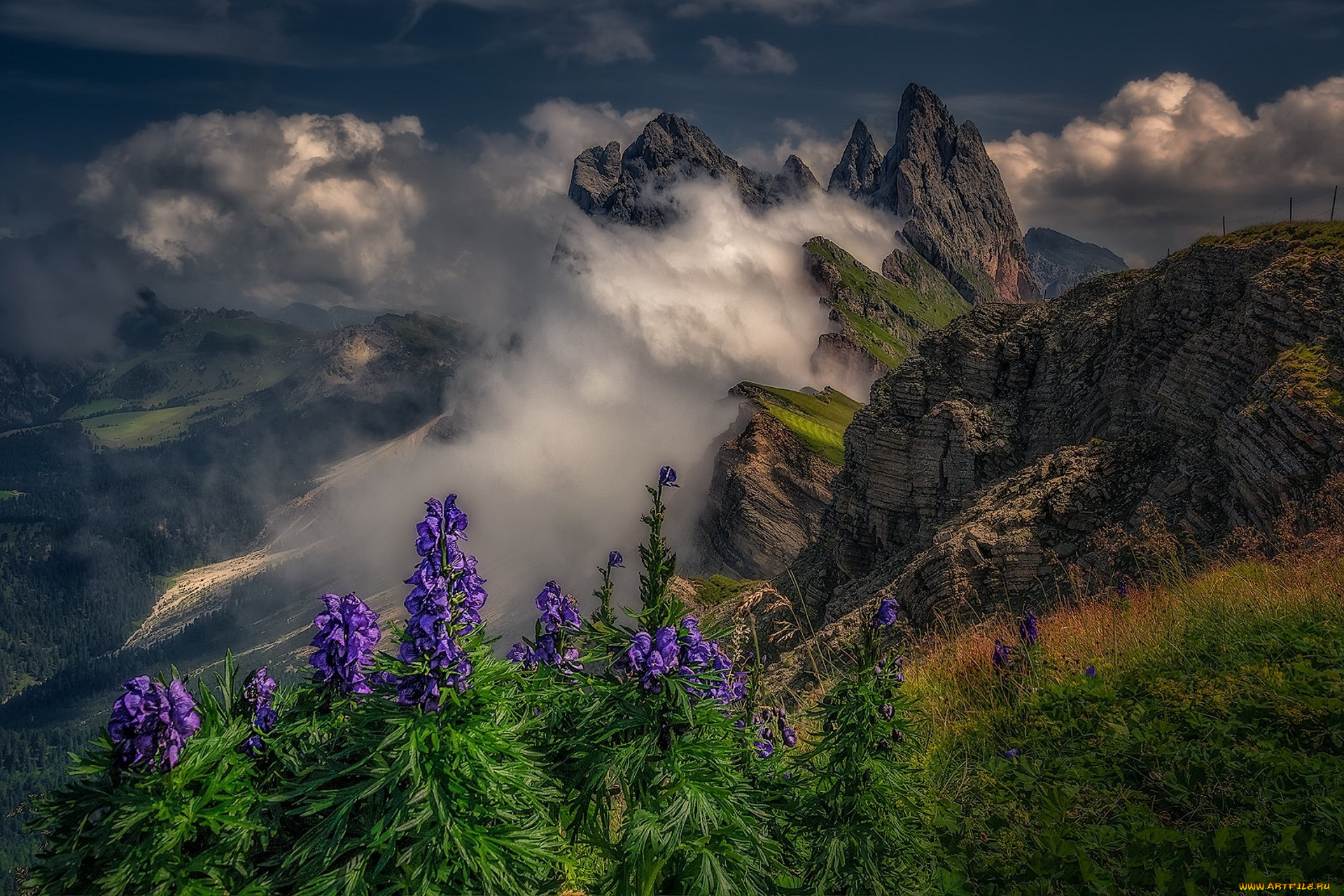 природа, горы, простор