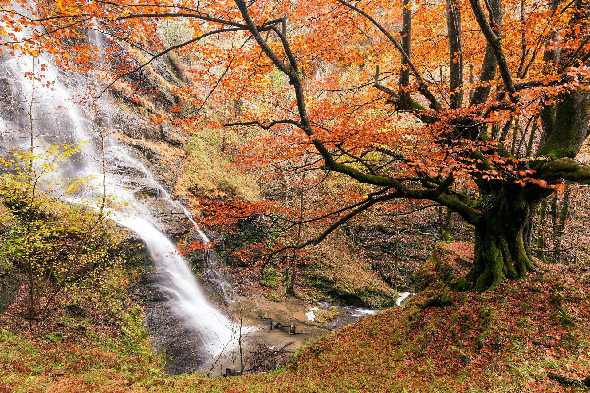 природа, водопады, поток, водопад, вода
