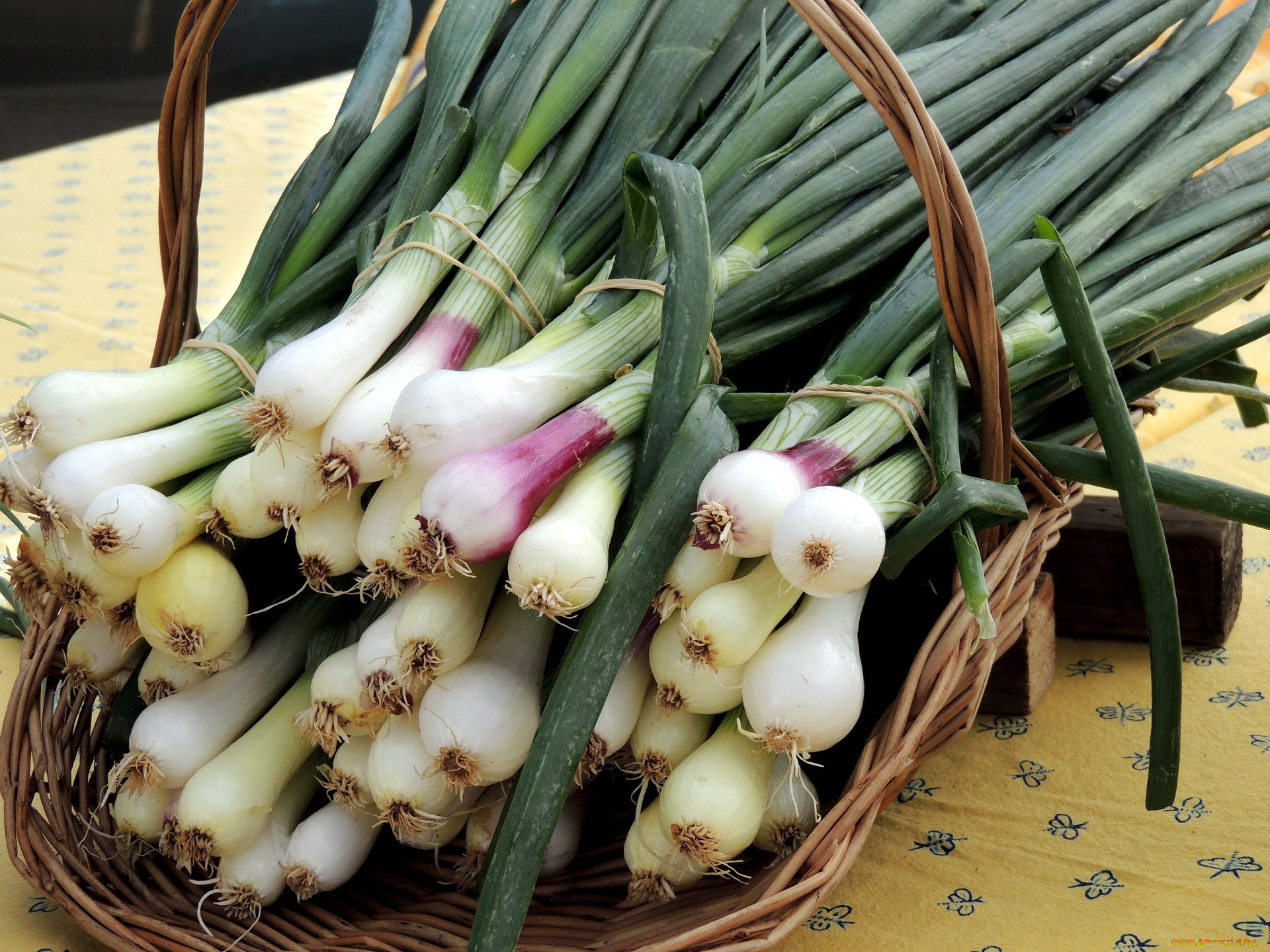 еда, лук, пучок, перо, зеленый