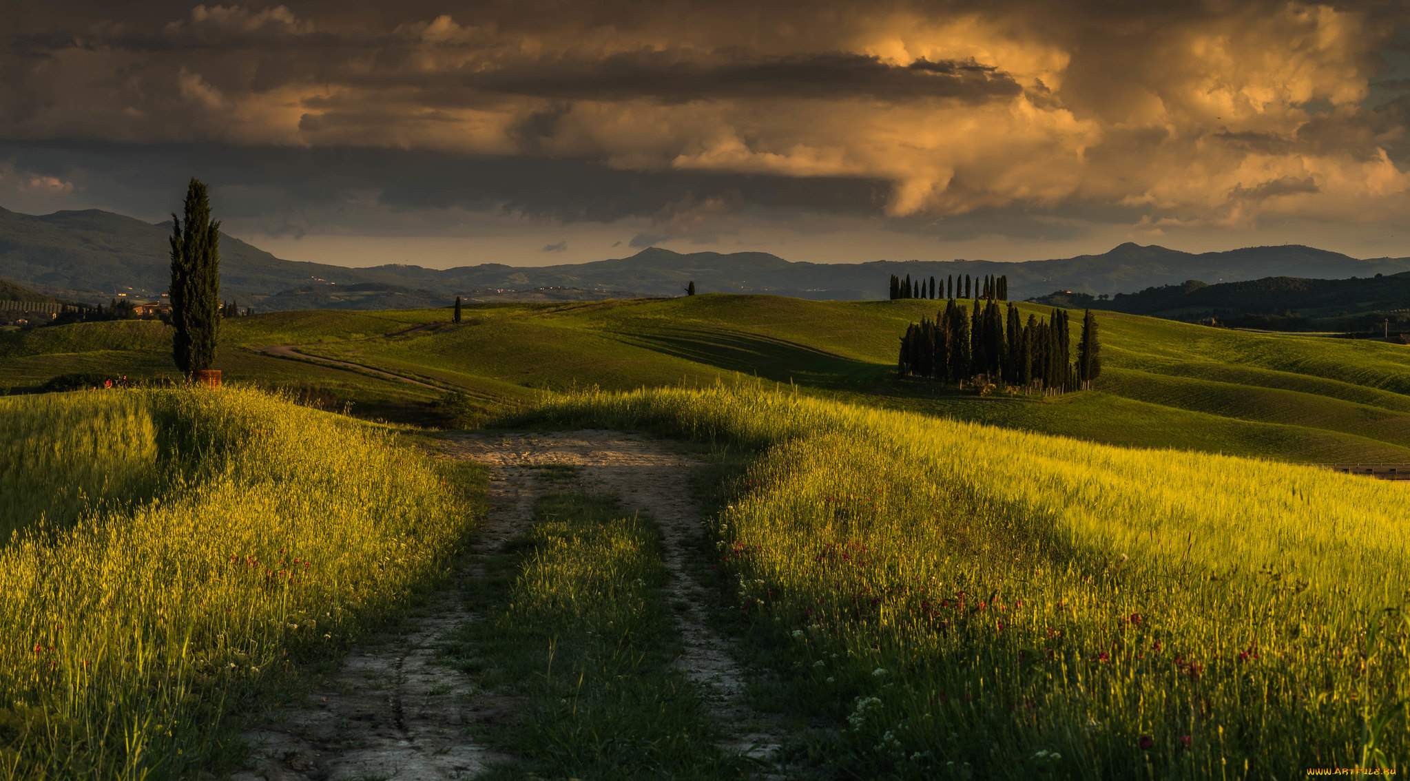 природа, дороги, простор