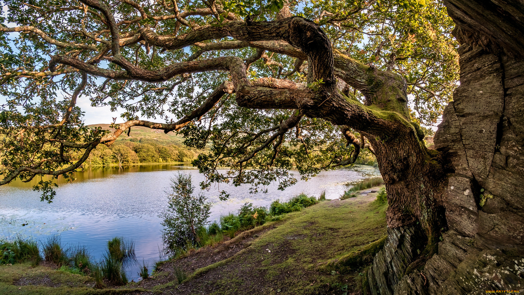 природа, моря, океаны, простор