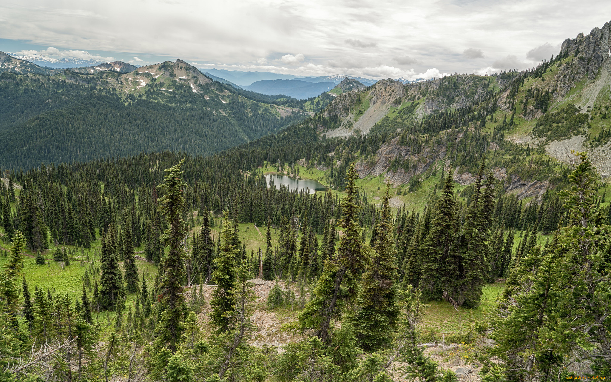 природа, пейзажи, простор