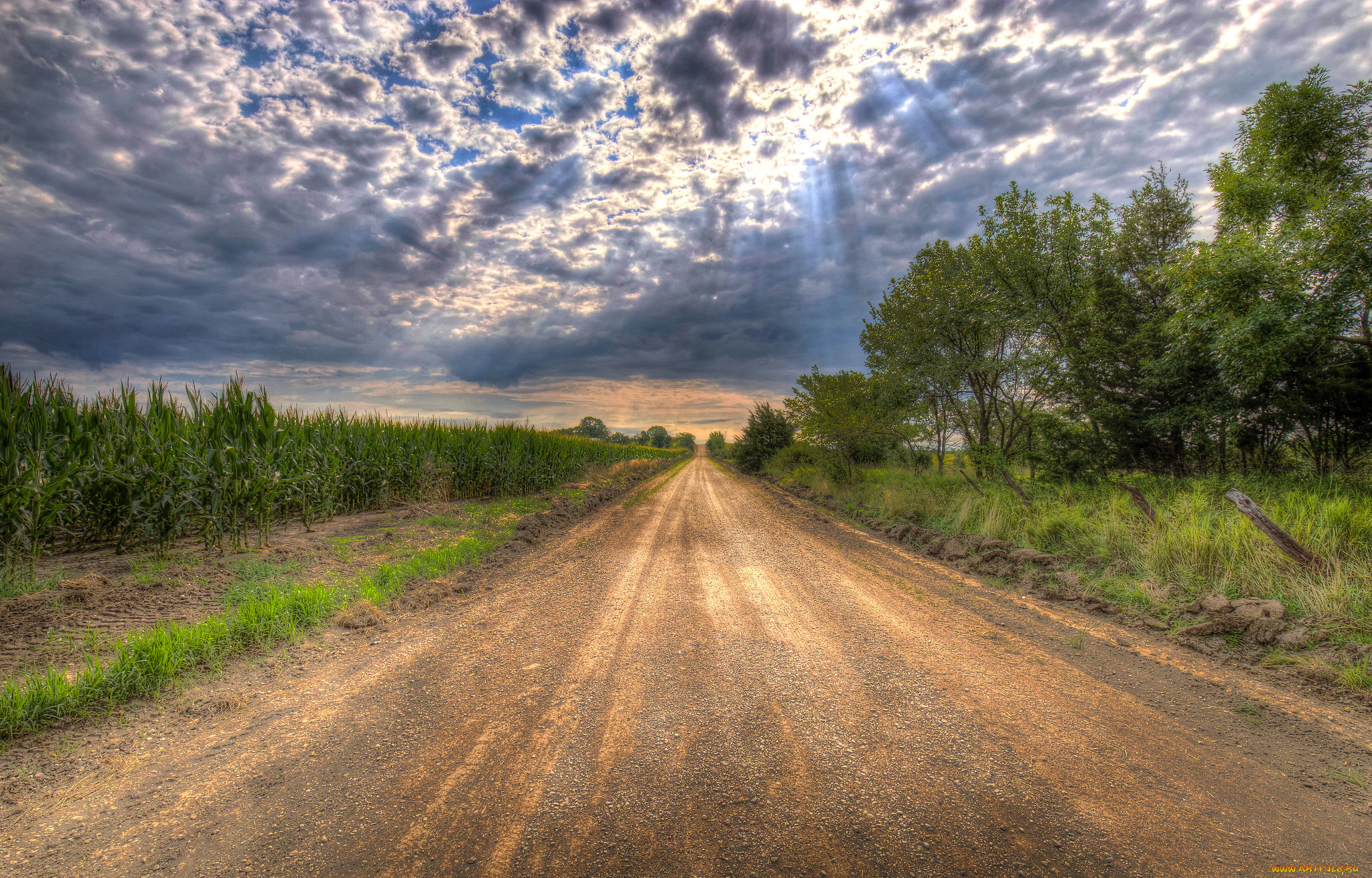 природа, дороги, простор