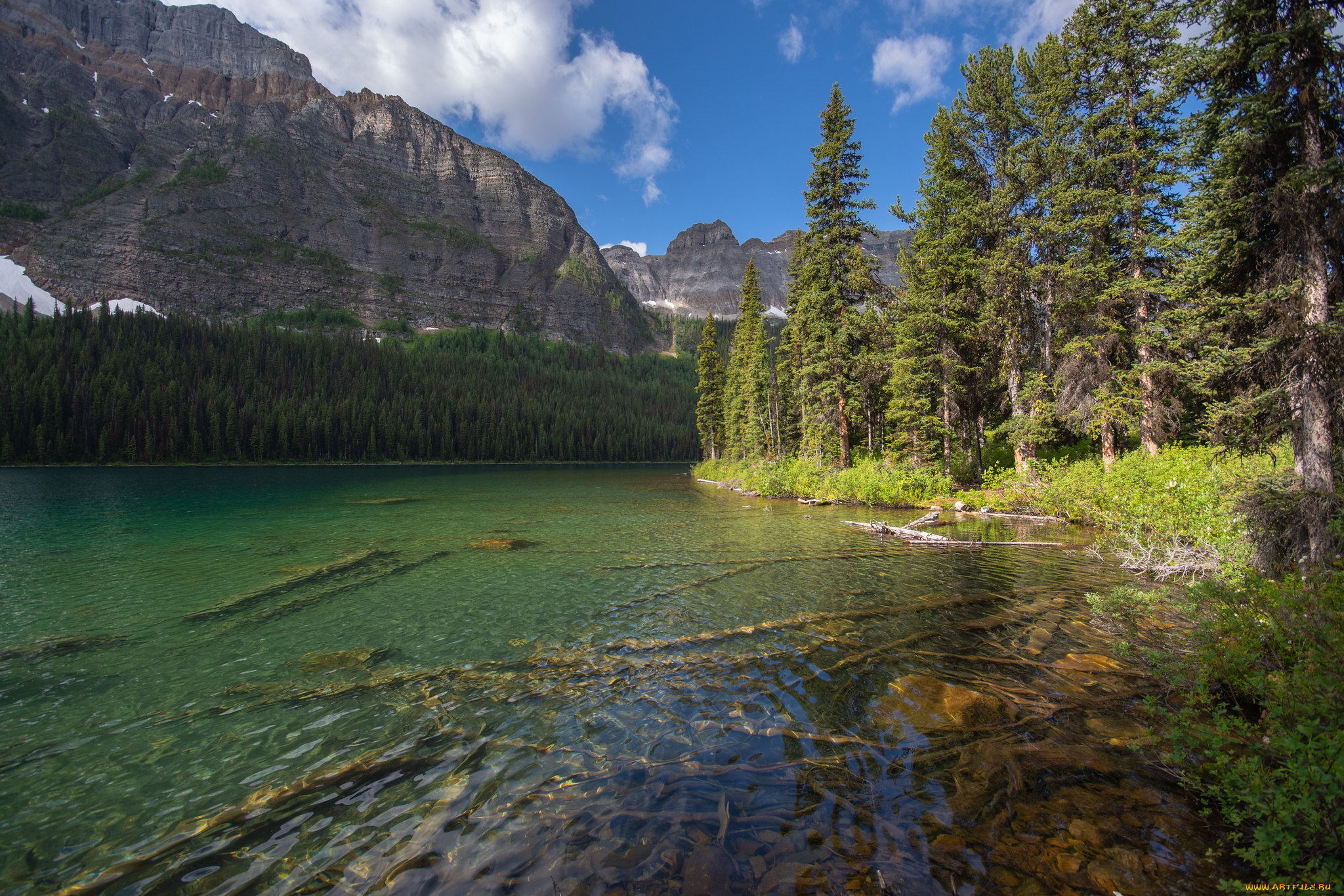 природа, реки, озера, простор