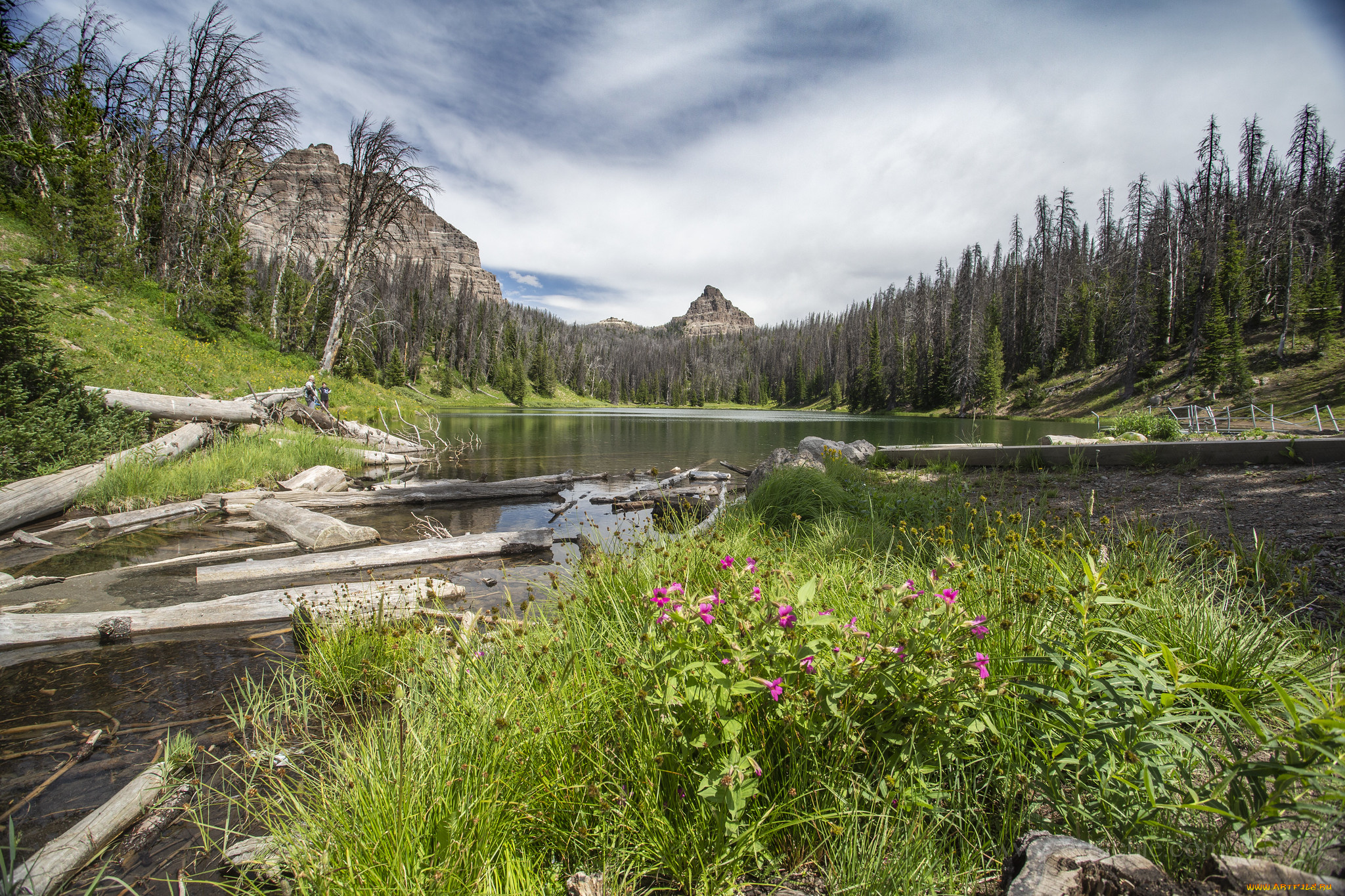 природа, реки, озера, простор