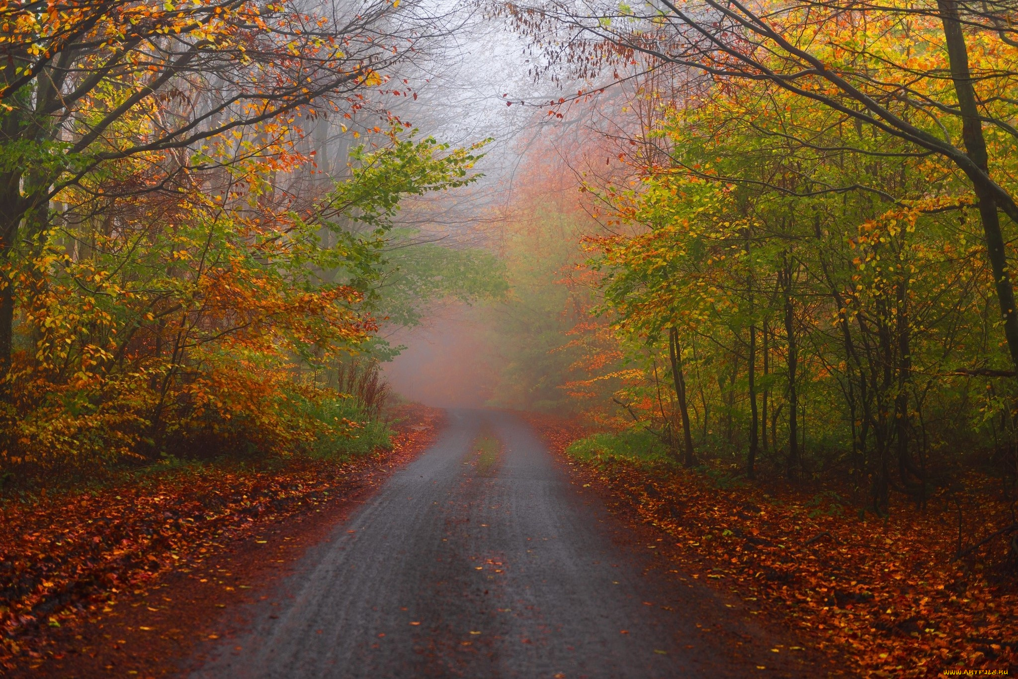 природа, дороги, простор