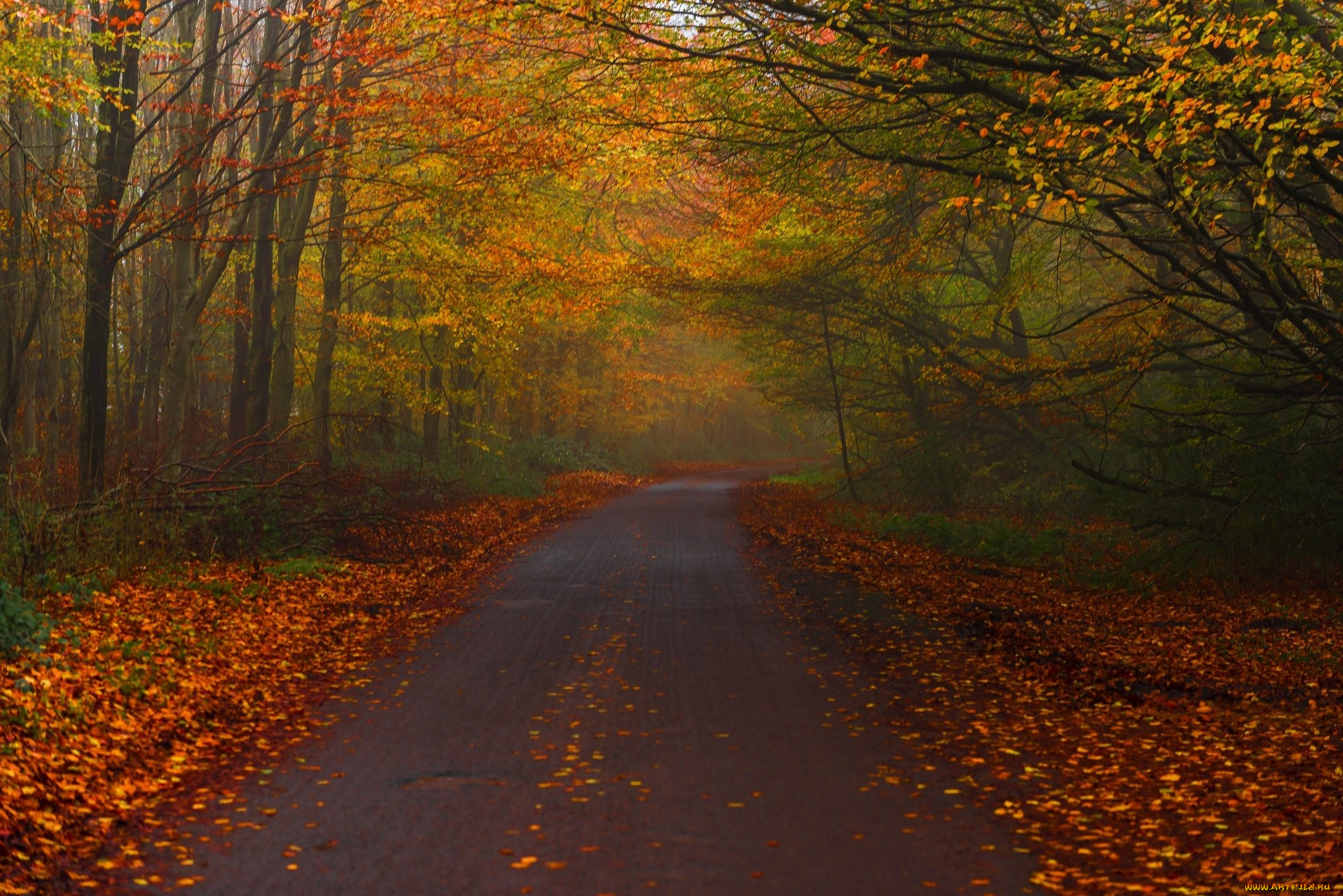 природа, дороги, простор