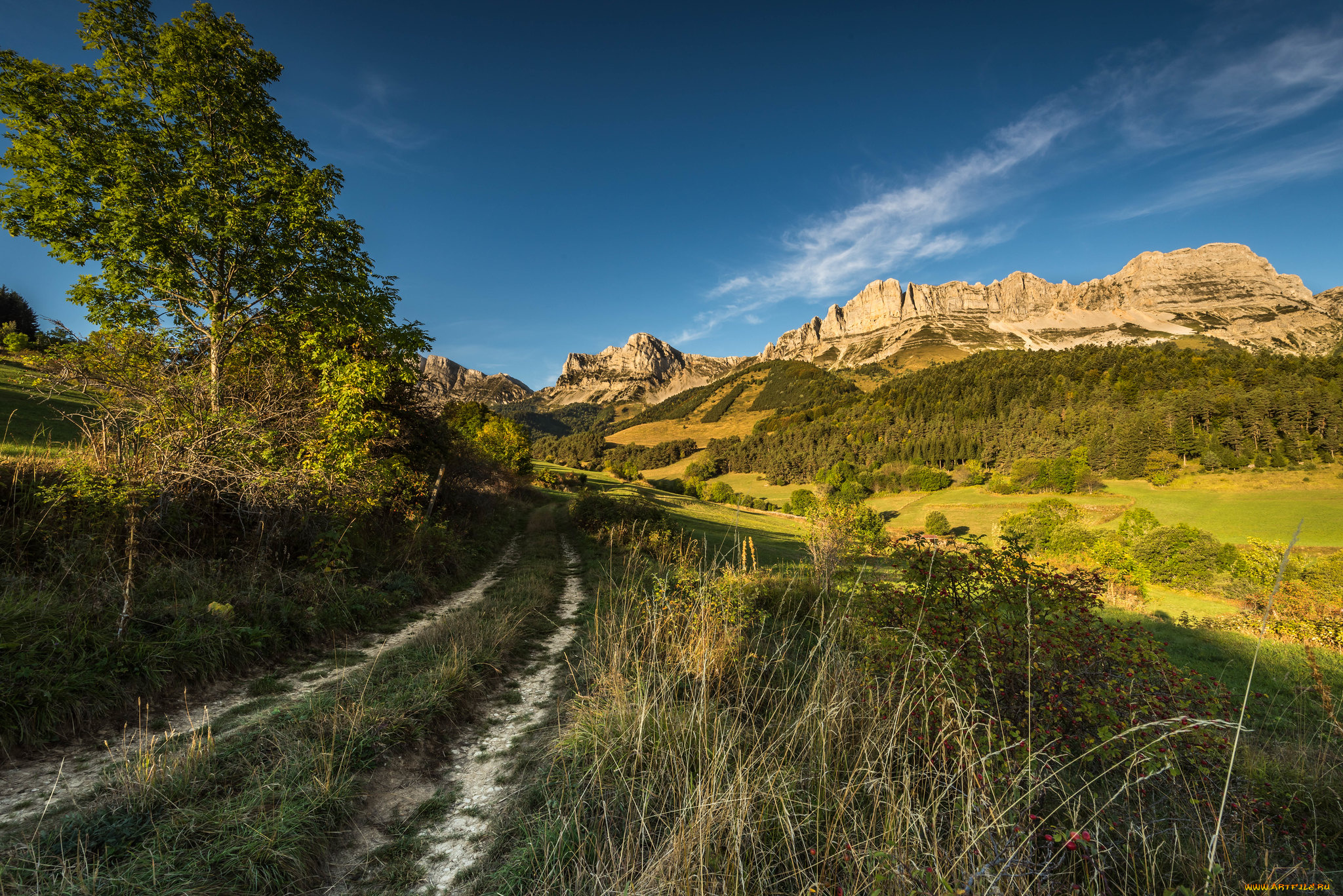 природа, пейзажи, простор