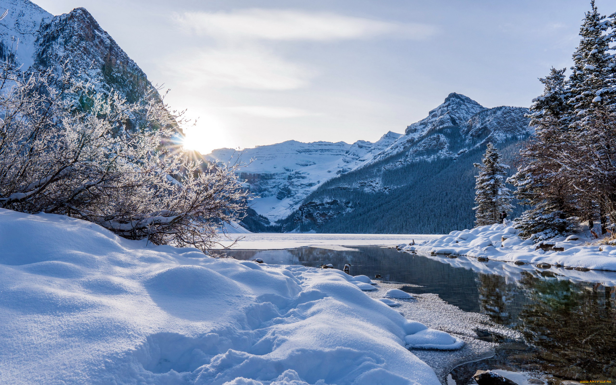 природа, зима, сугробы, снег