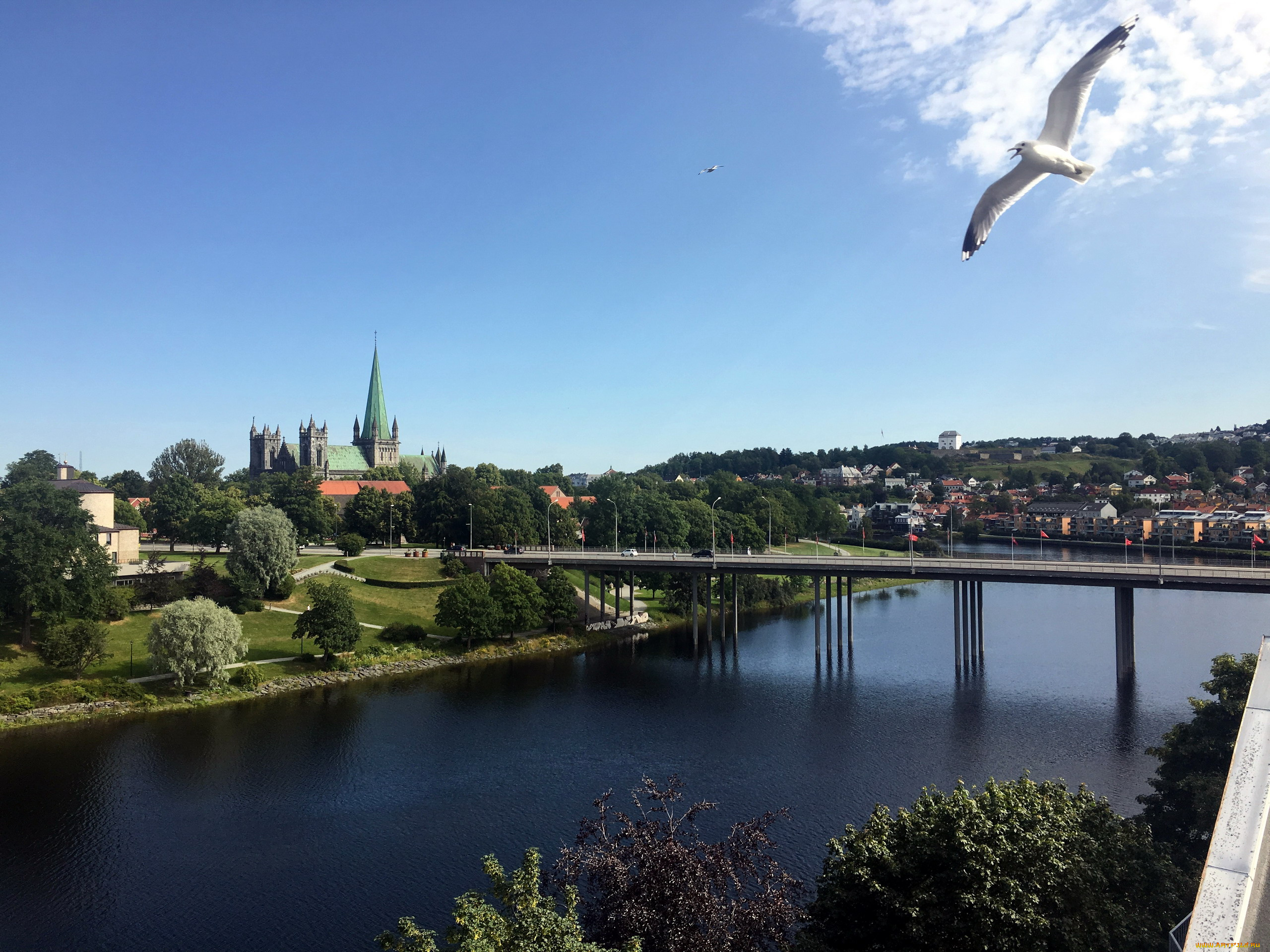 trondheim, norway, города, -, мосты