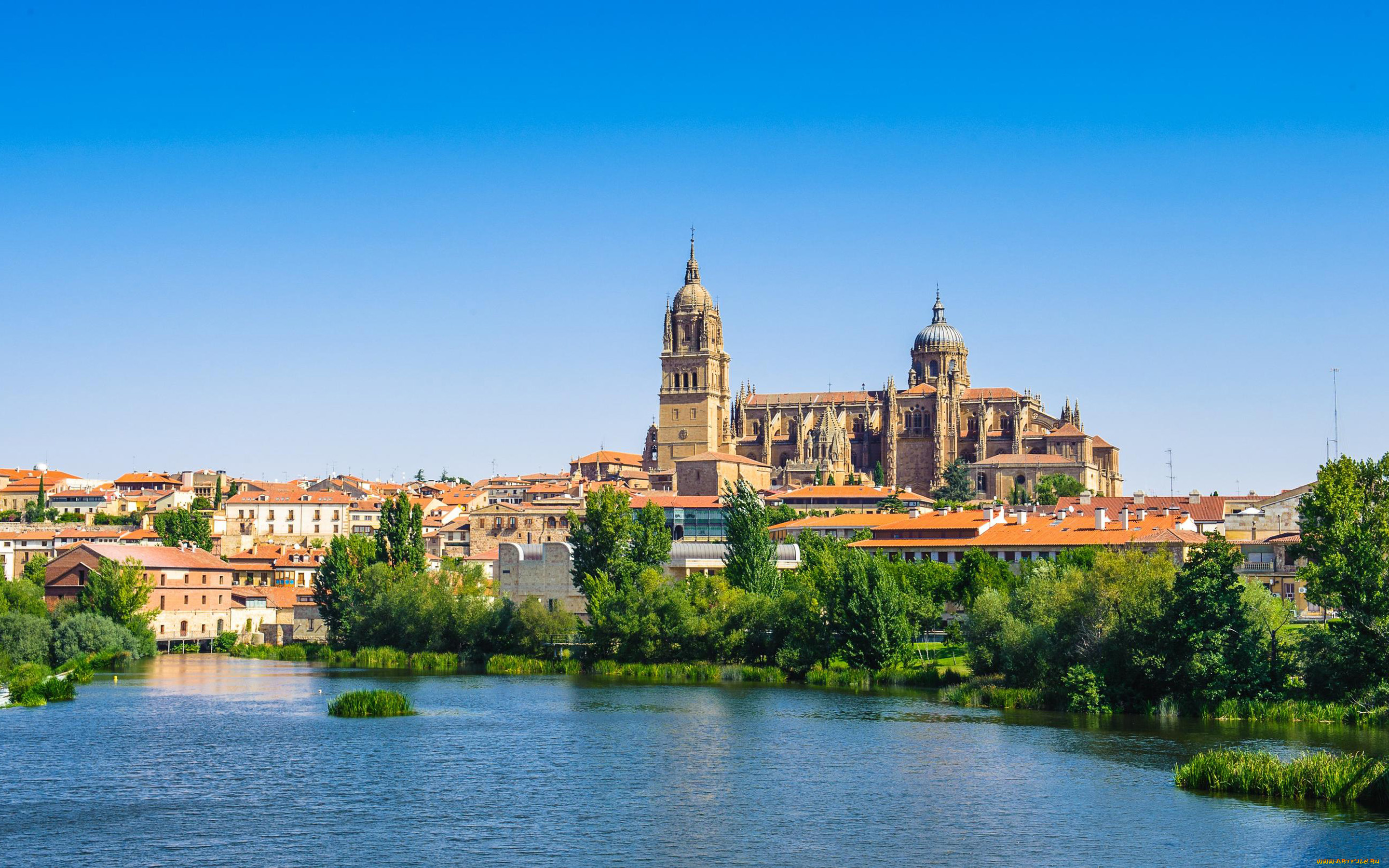salamanca, spain, города, -, католические, соборы, , костелы, , аббатства