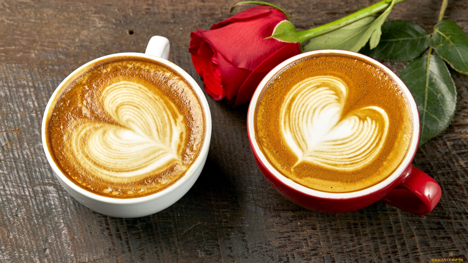 еда, кофе, , кофейные, зёрна