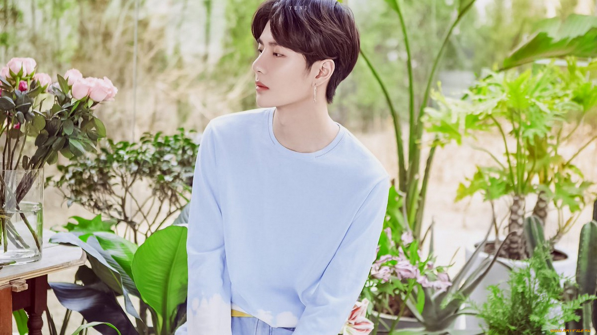 мужчины, wang, yi, bo, ван, ибо, wang, yi, bo