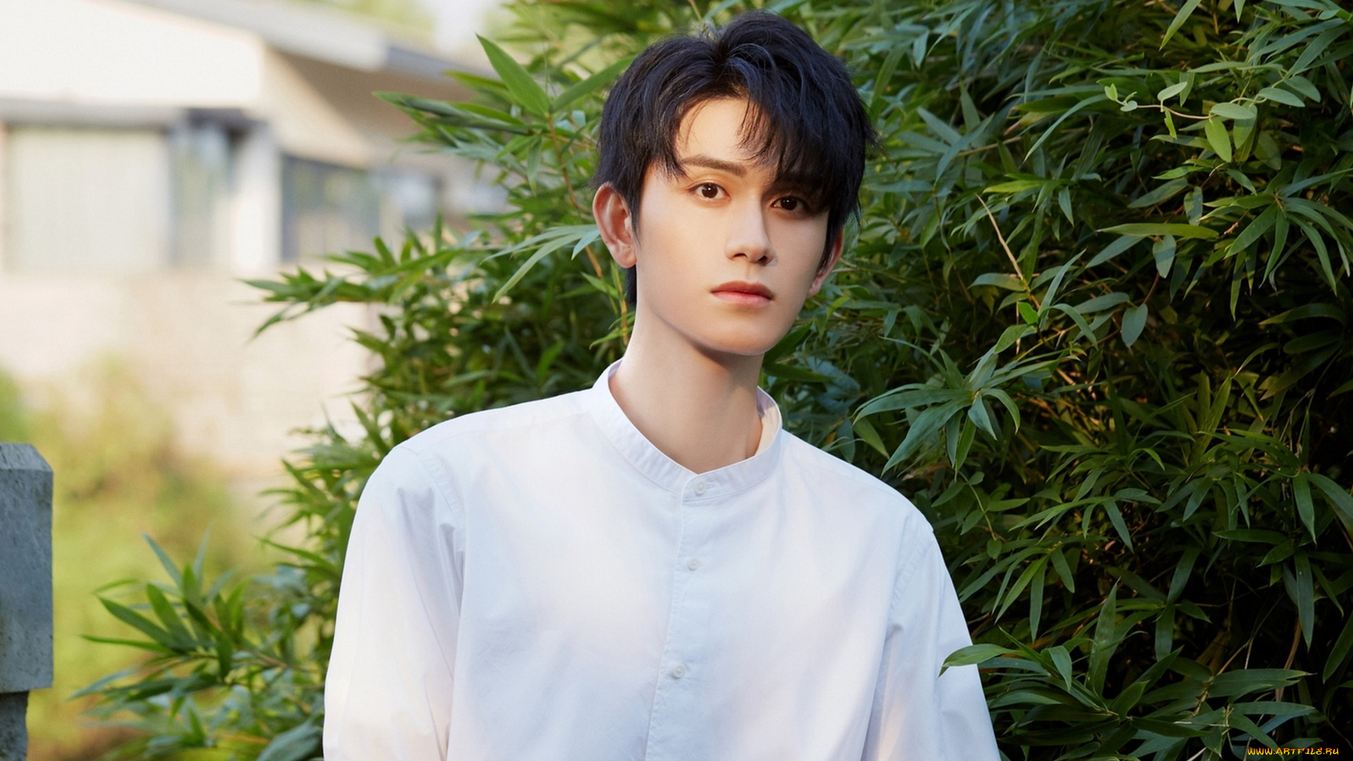 мужчины, zhu, zanjin, zhu, zanjin, чжу, цзаньцзинь