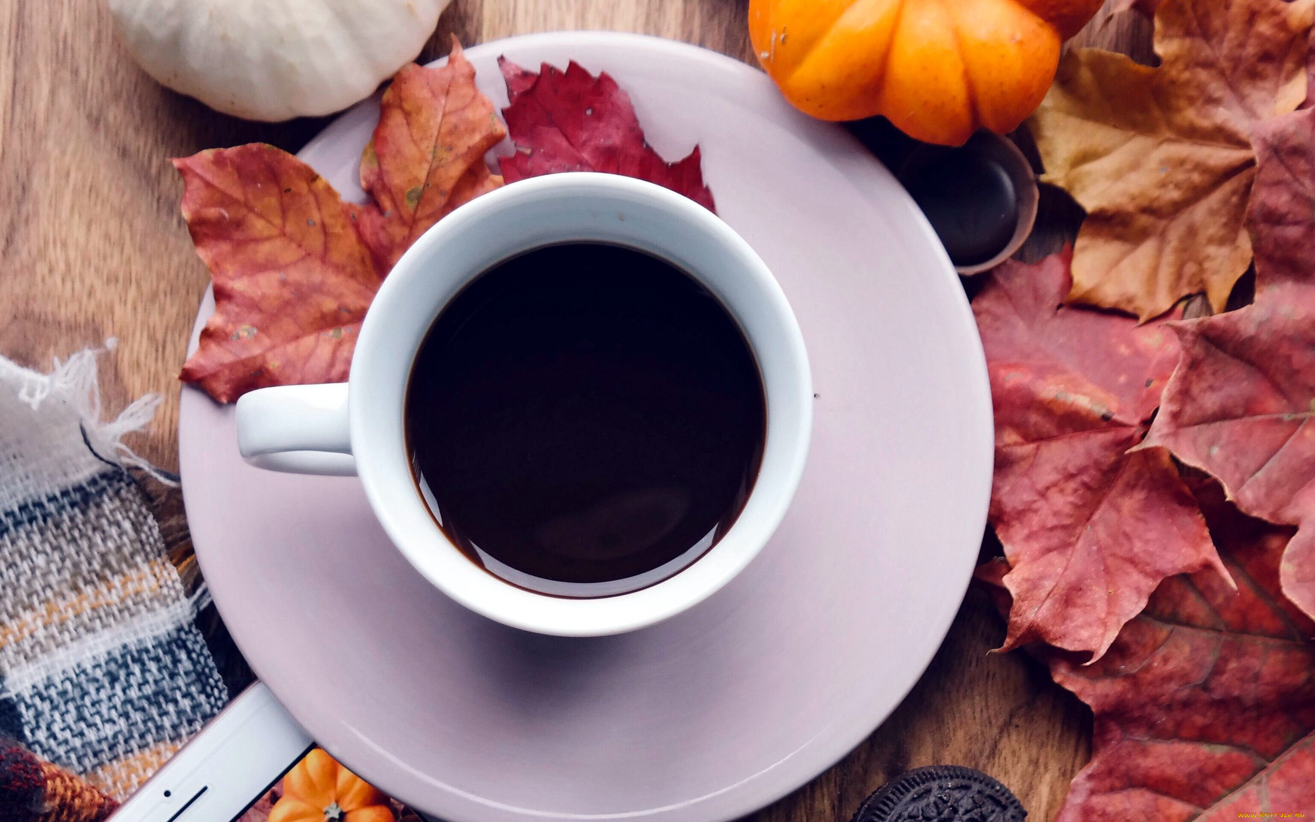 еда, кофе, , кофейные, зёрна