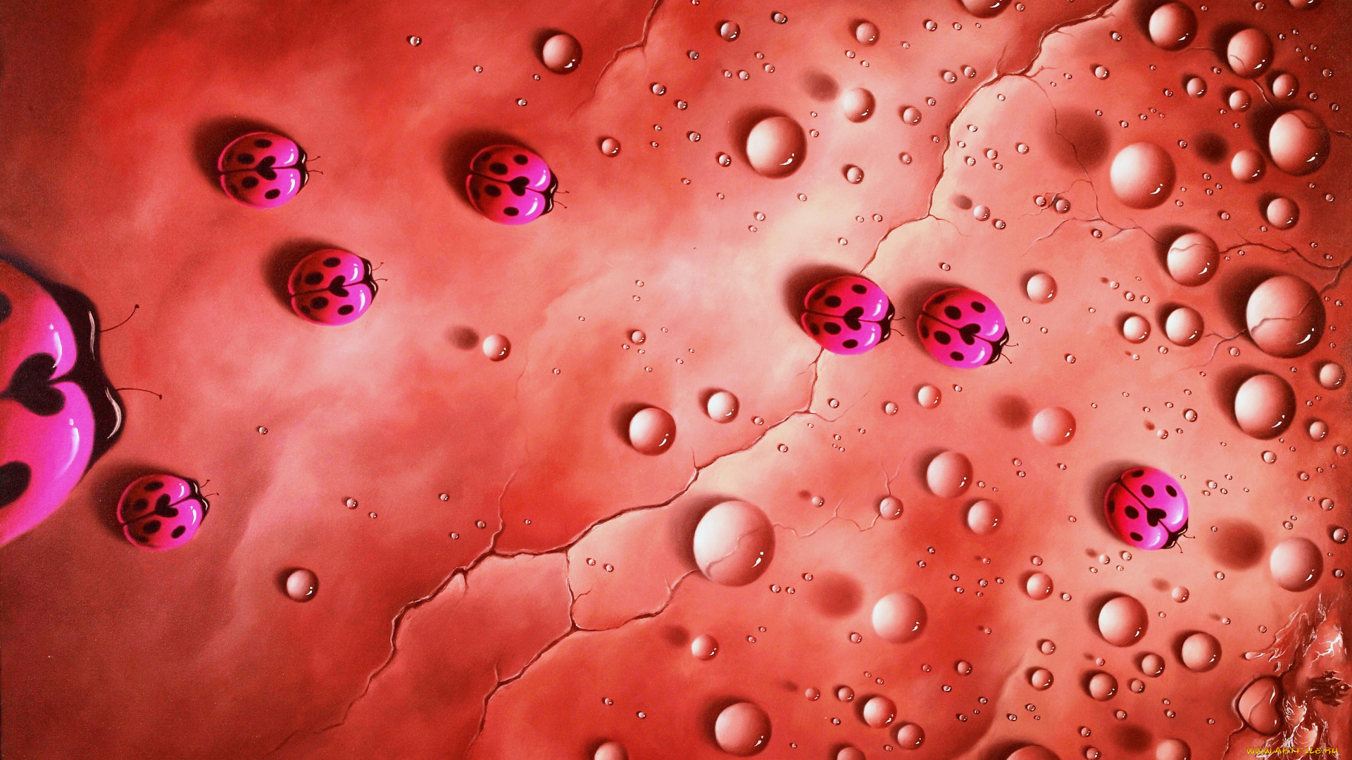 рисованное, животные, , насекомые, божьи, коровки, капли