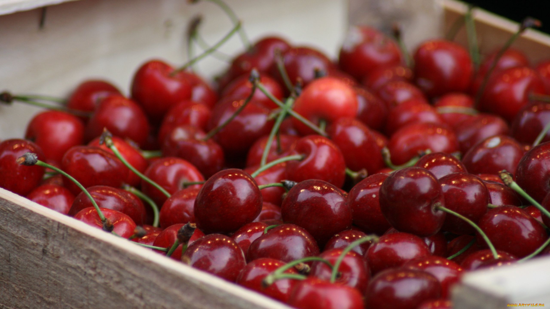 еда, вишня, , черешня, ягоды, вишни, много