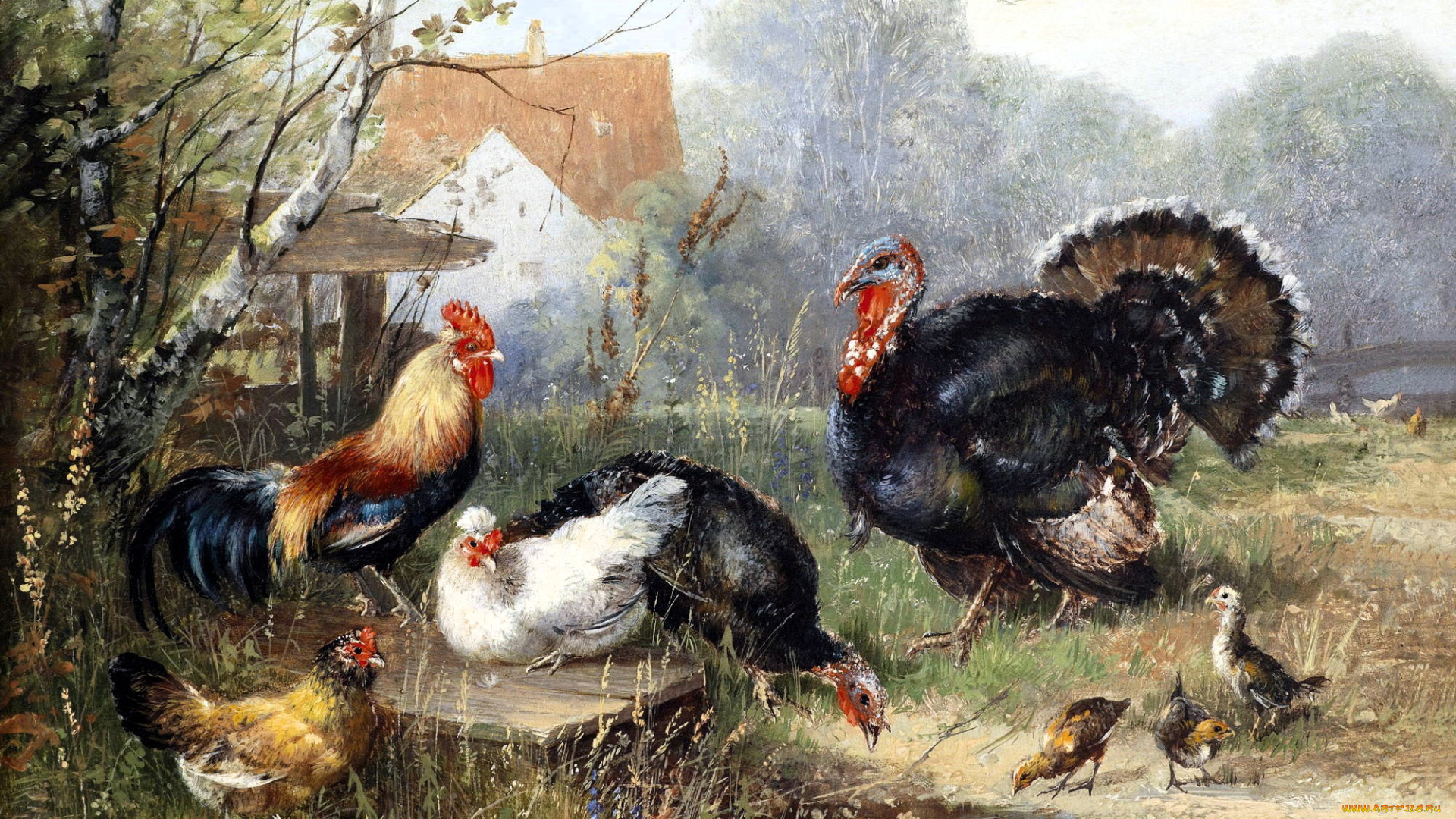 walter, moras, рисованное, куры, индюки, трава, ручей