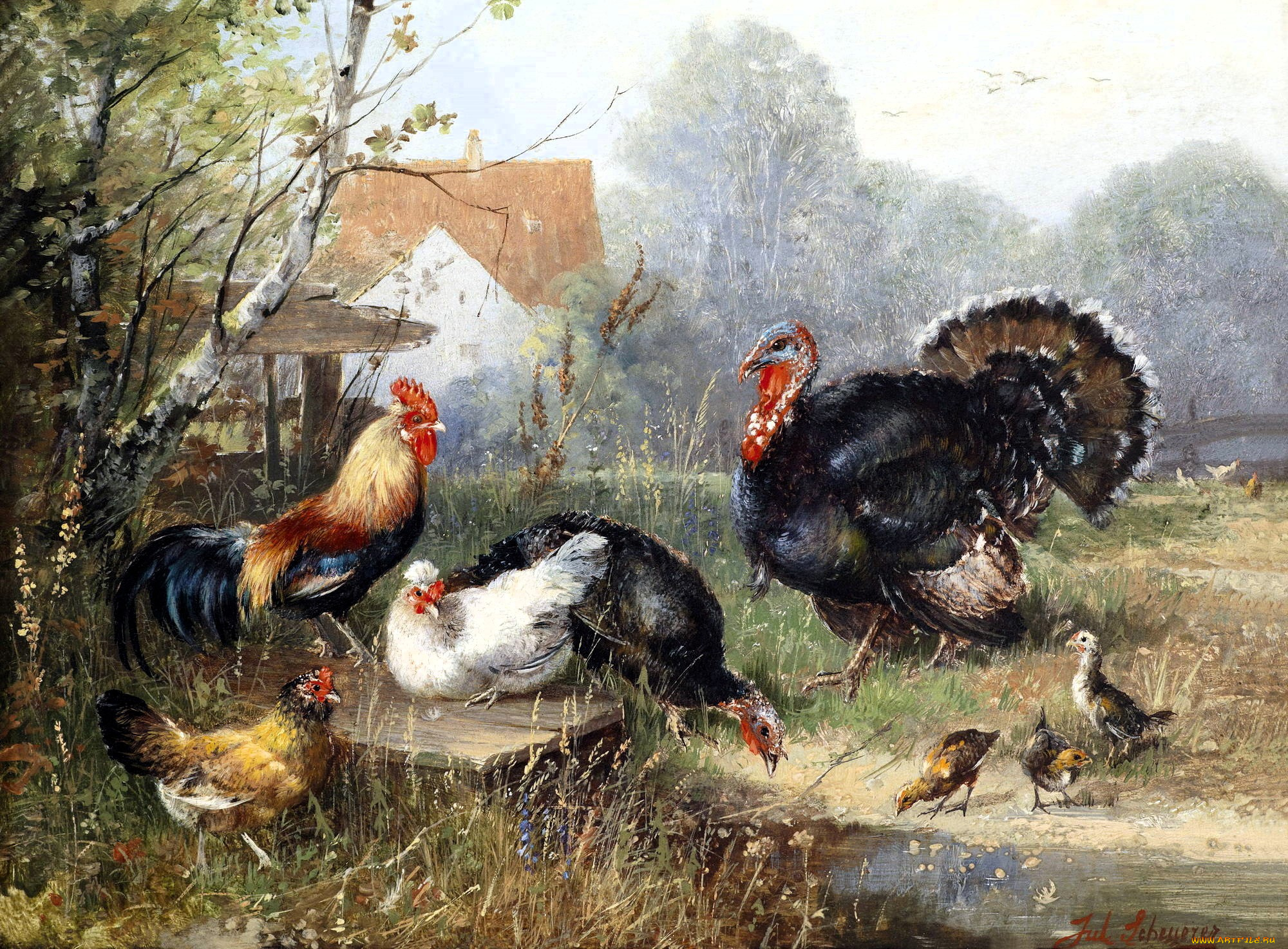 walter, moras, рисованное, куры, индюки, трава, ручей