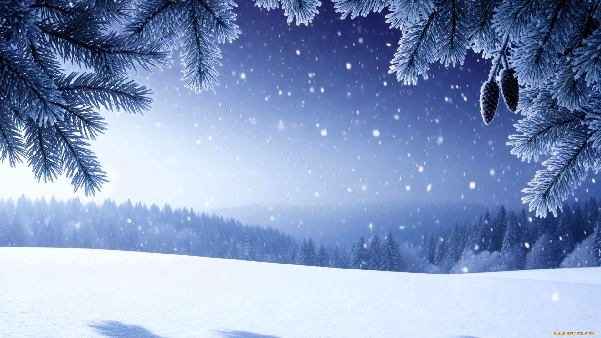 3д, графика, природа, , nature, ветки, ёлка, шишки, снег, зима, лес