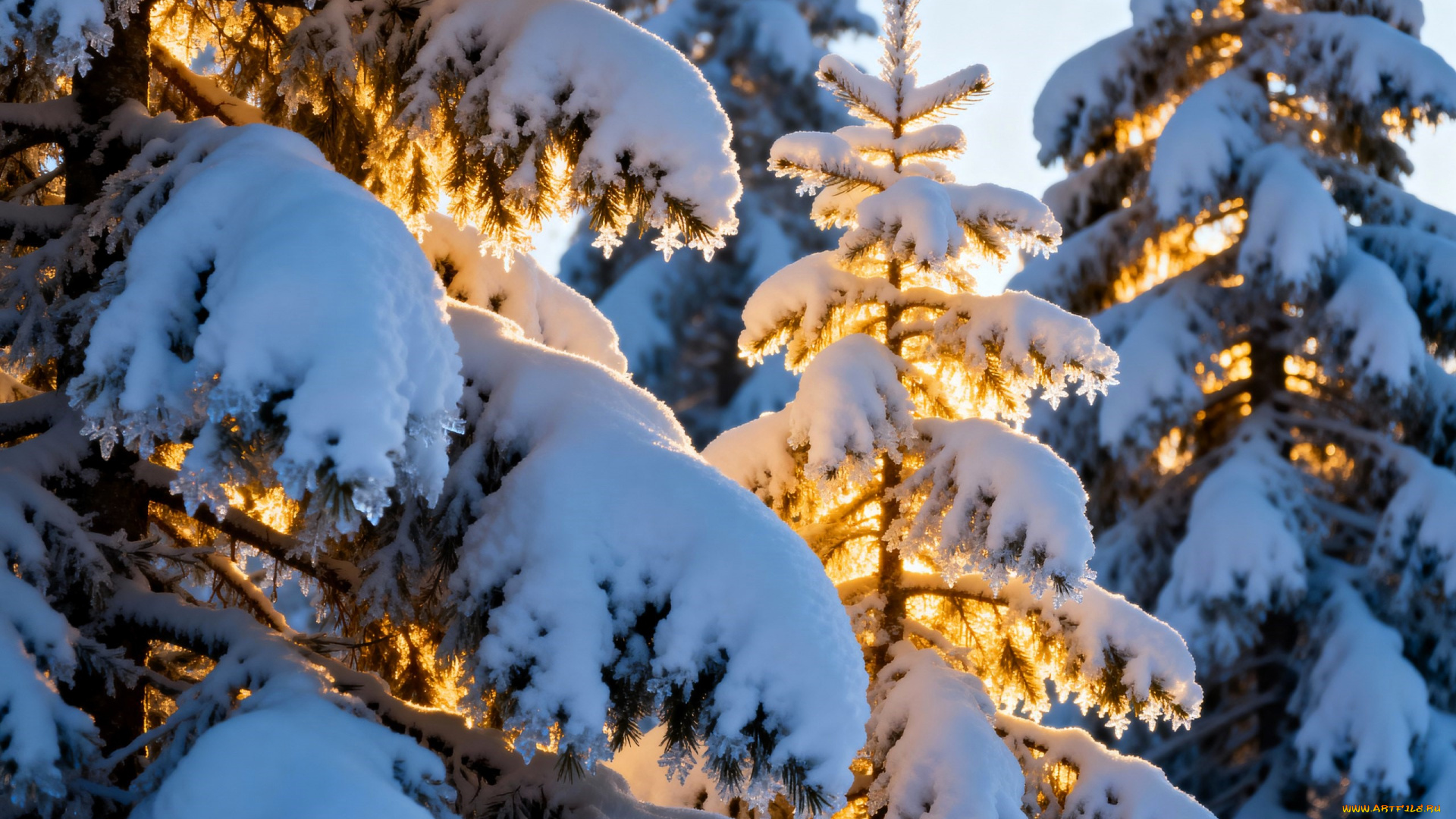 3д, графика, природа, , nature, ёлки, лес, свет, снег, зима