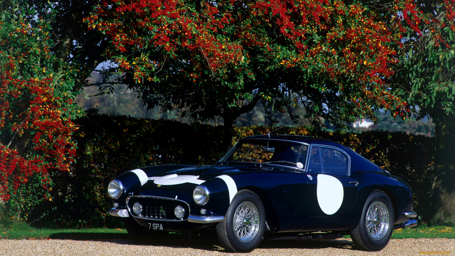 автомобили, ferrari