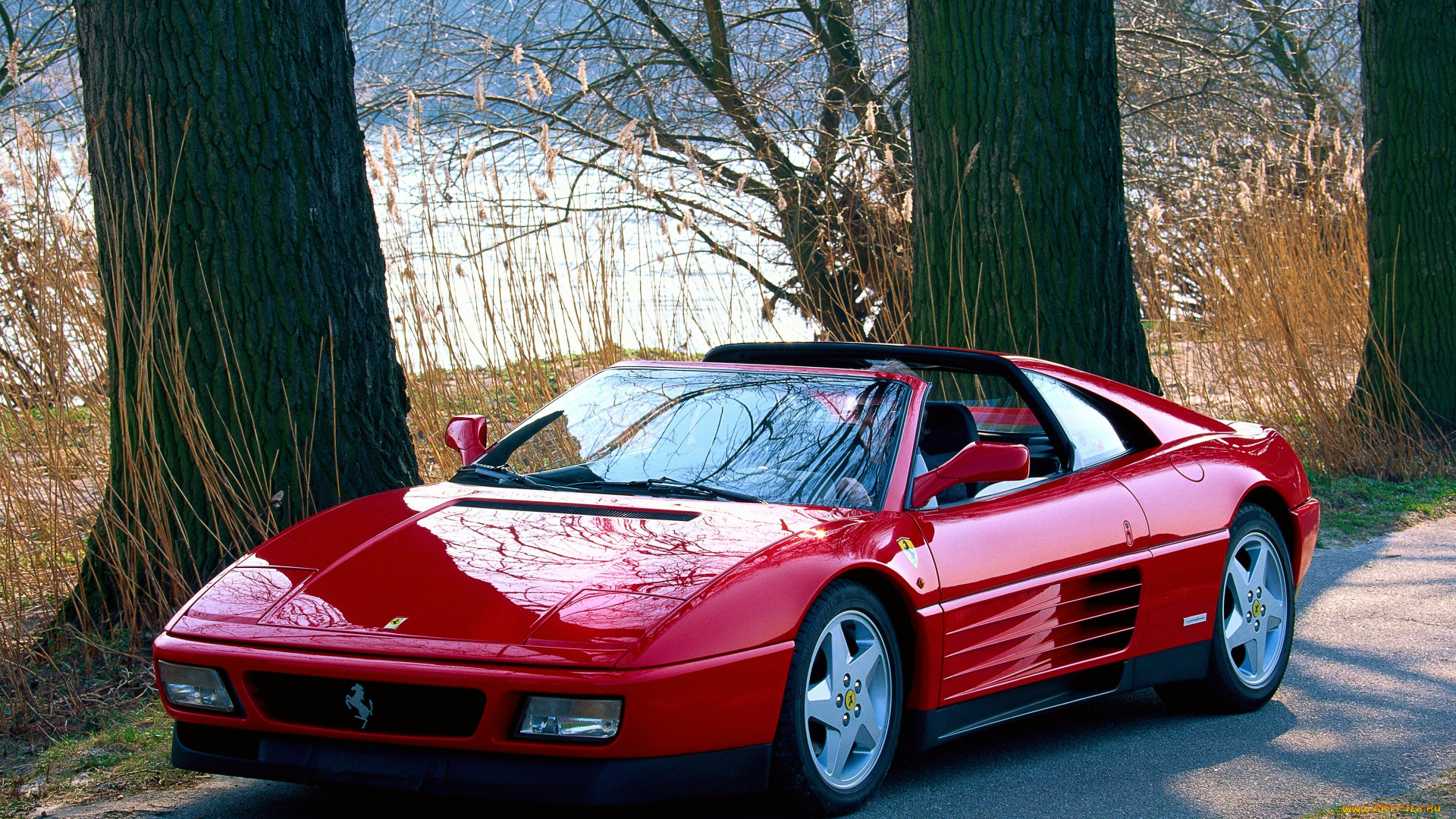 автомобили, ferrari