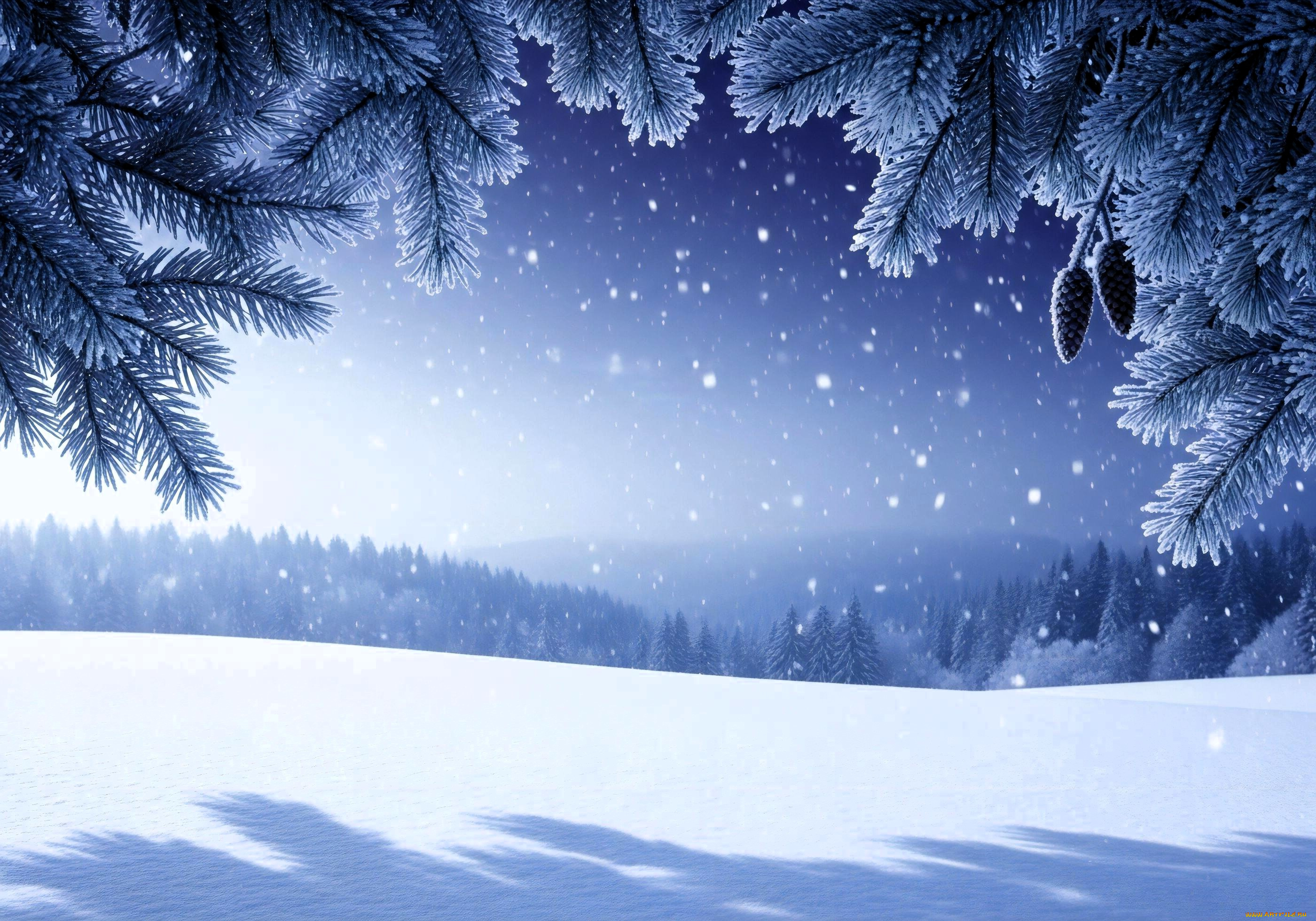 3д, графика, природа, , nature, ветки, ёлка, шишки, снег, зима, лес