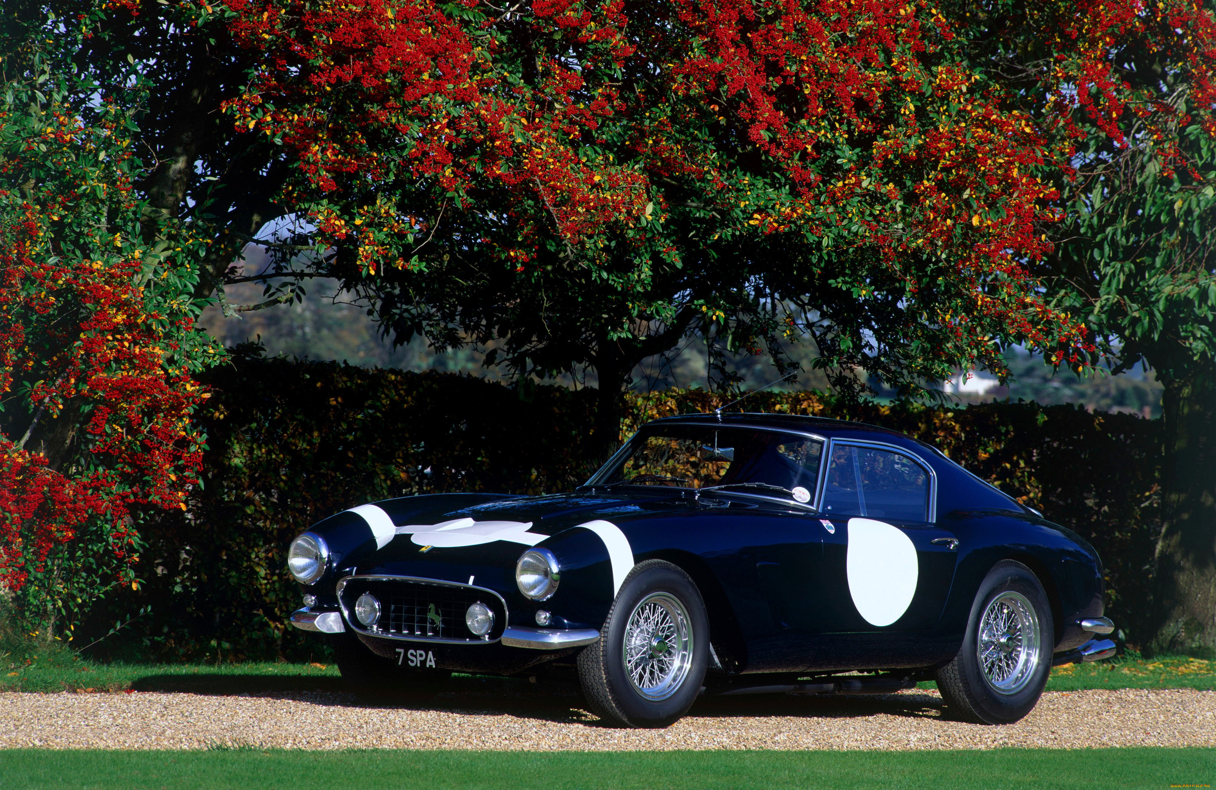 автомобили, ferrari