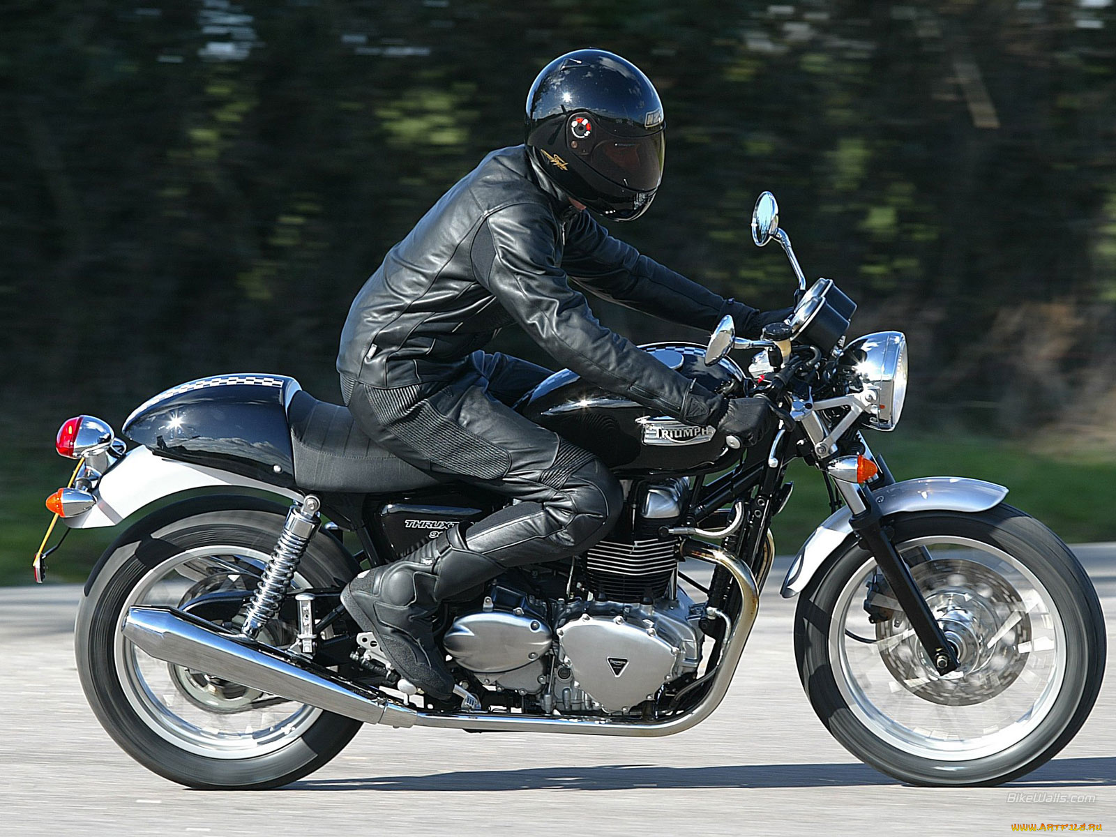 мотоциклы, triumph