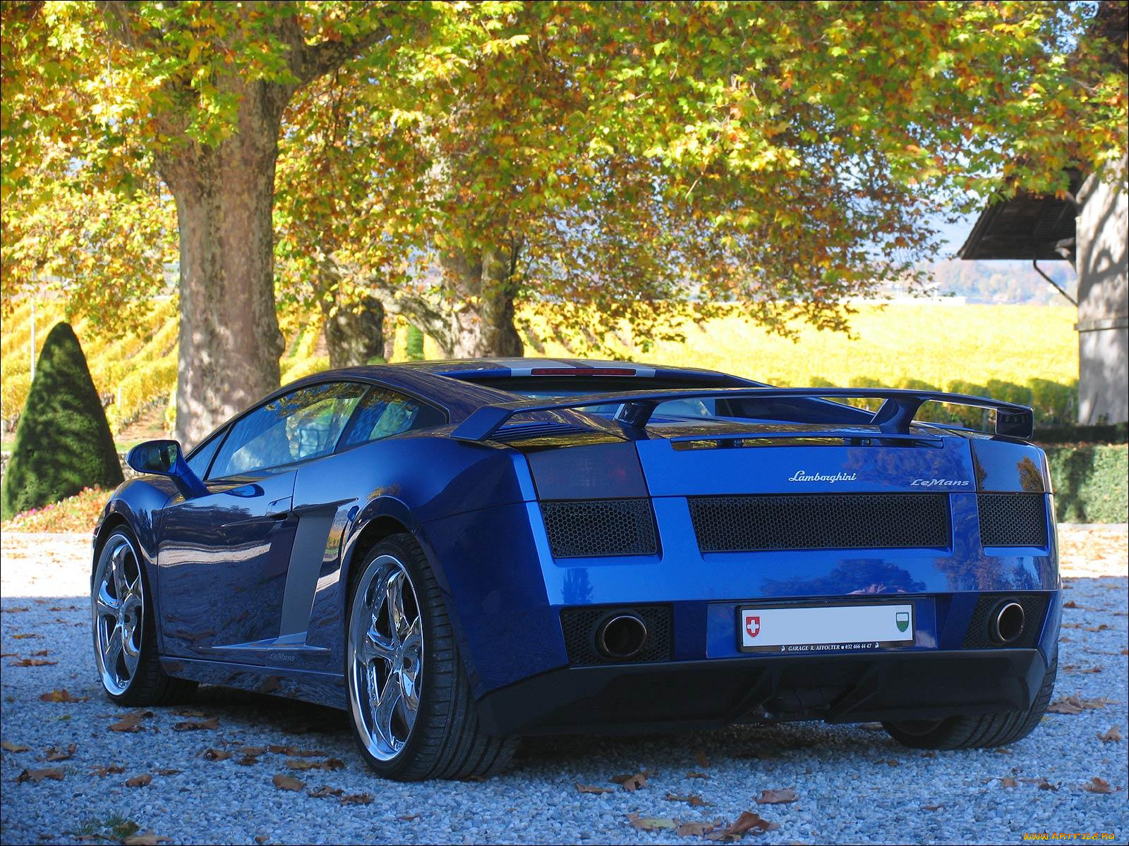 lamborghini, gallardo, автомобили