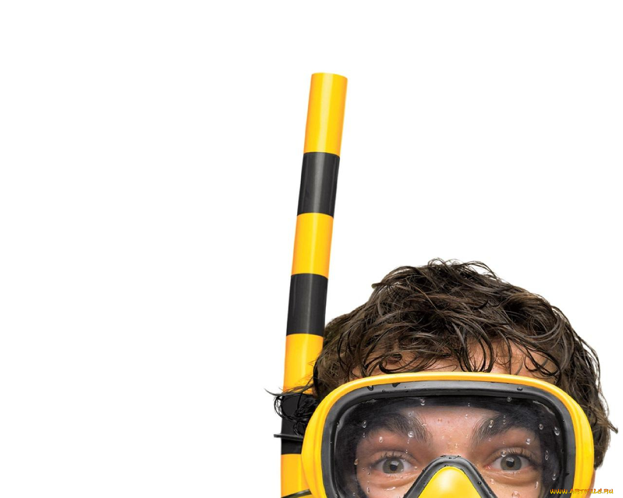 бренды, beeline