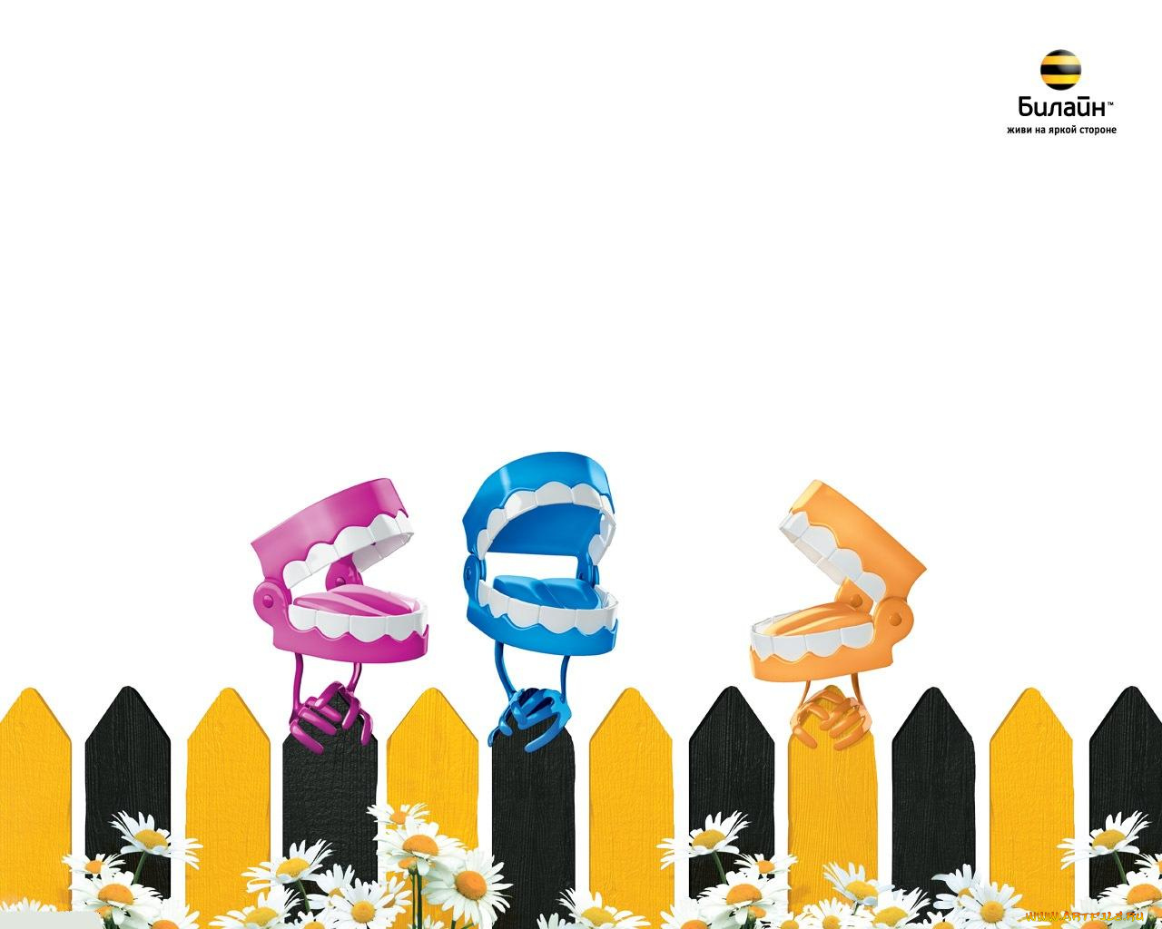 бренды, beeline