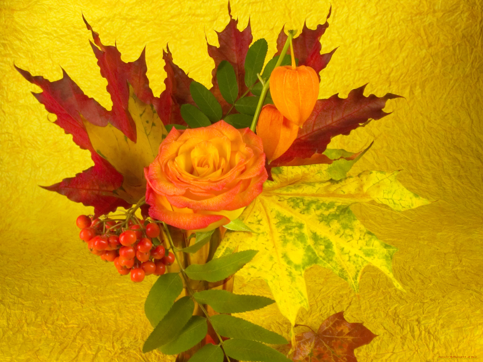 цветы, букеты, композиции