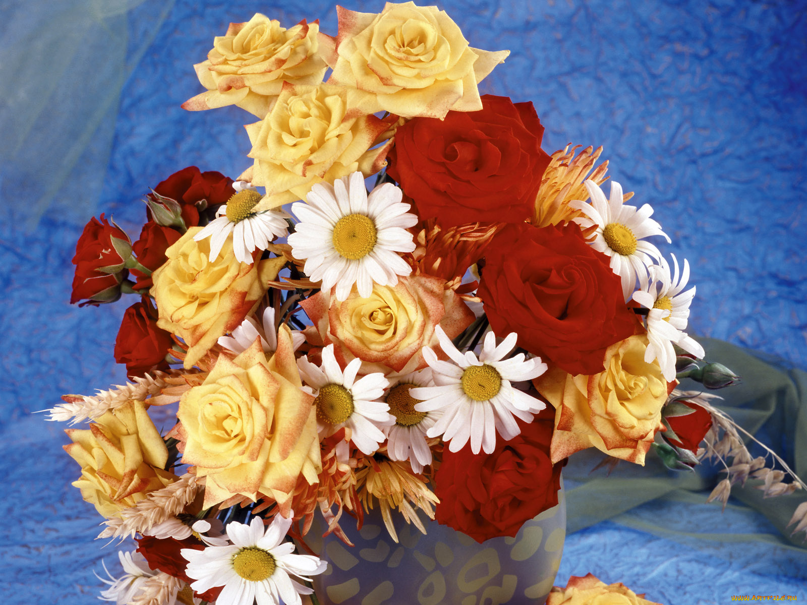 цветы, букеты, композиции