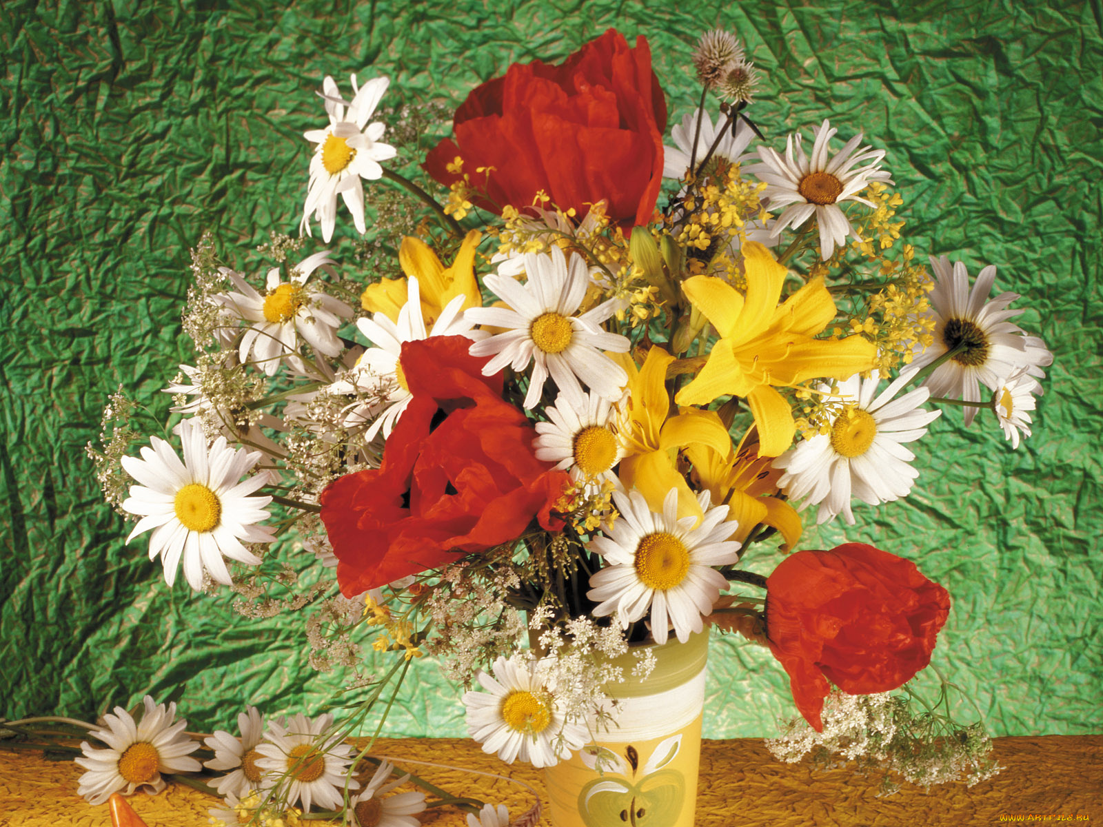 цветы, букеты, композиции