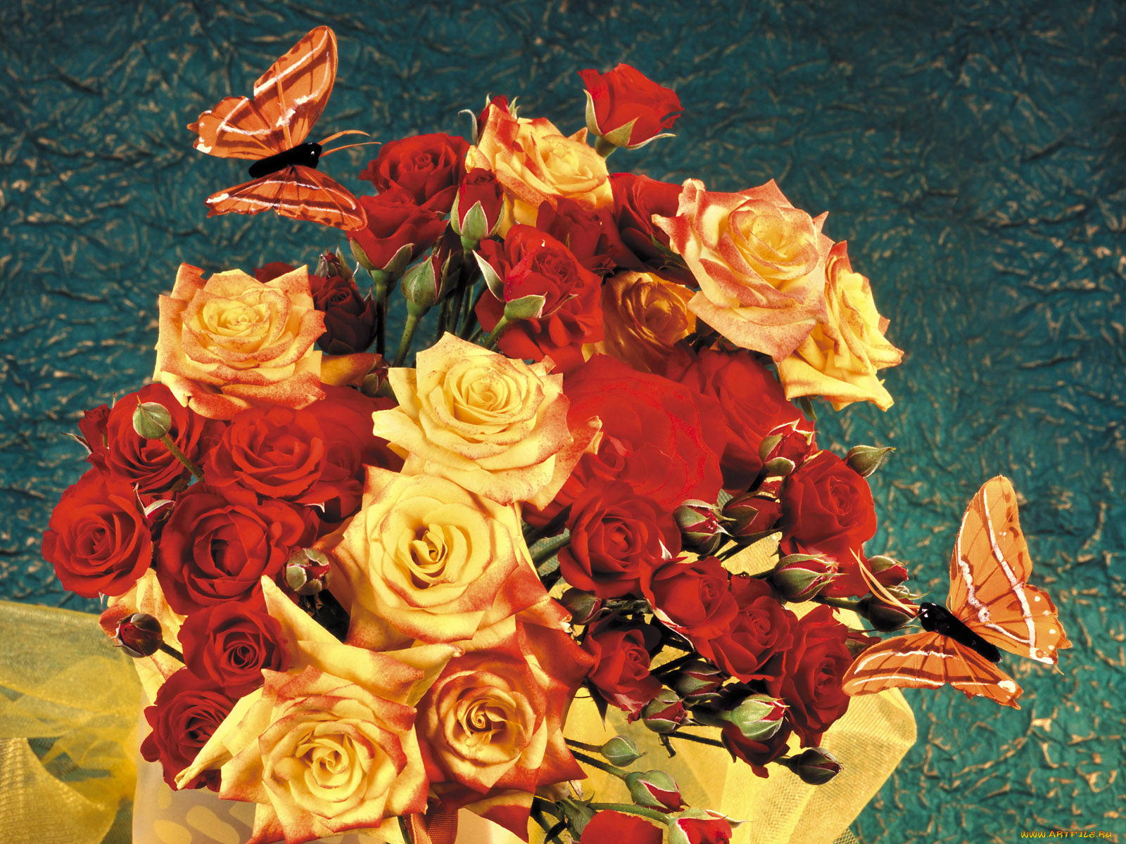 цветы, розы