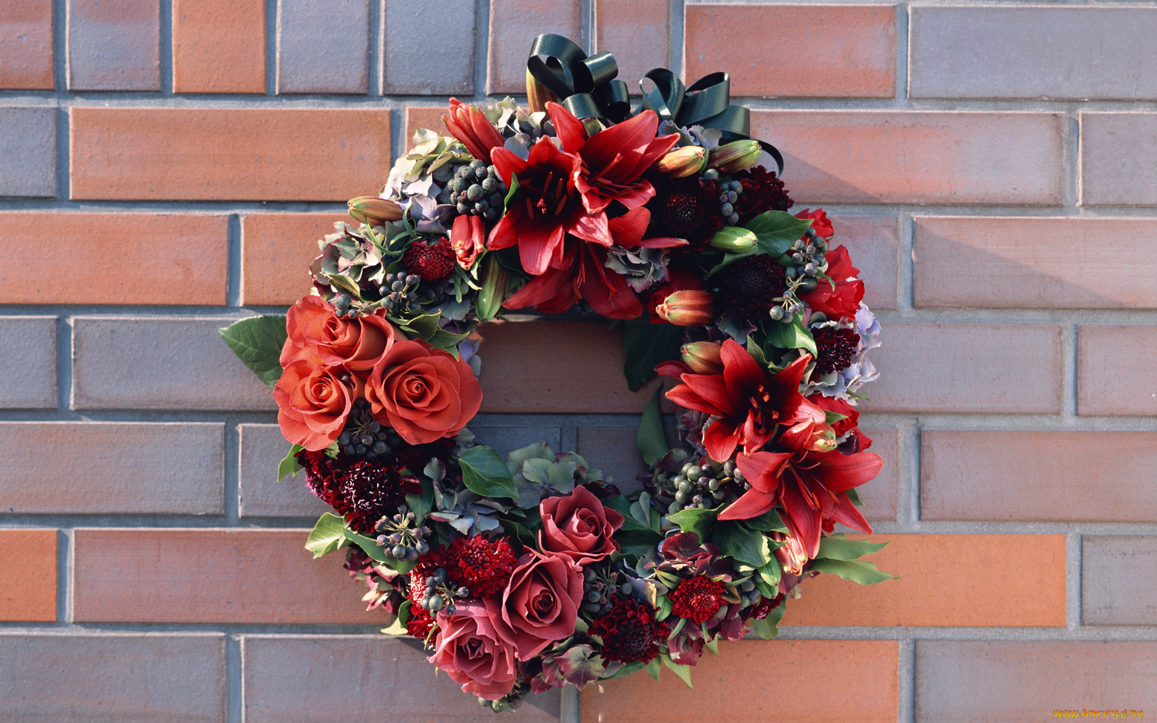 цветы, букеты, композиции