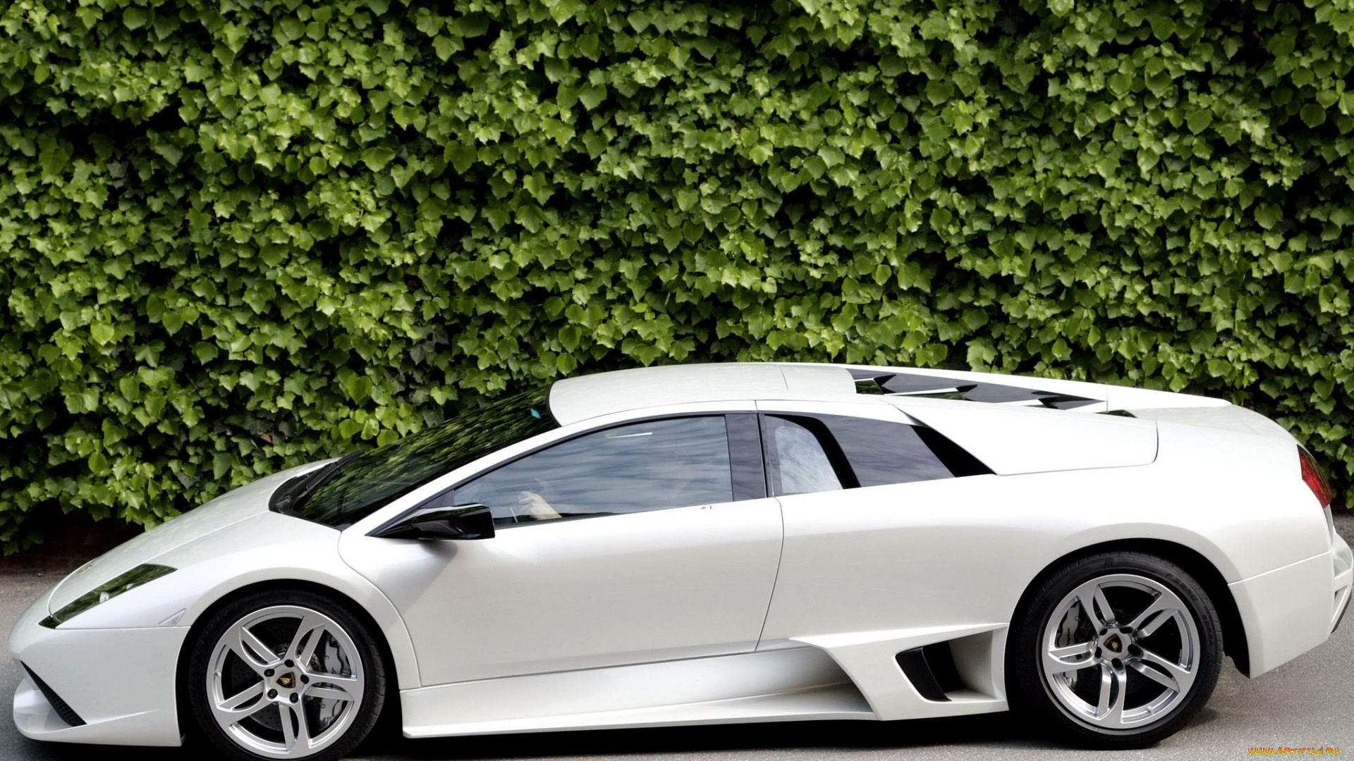 автомобили, lamborghini