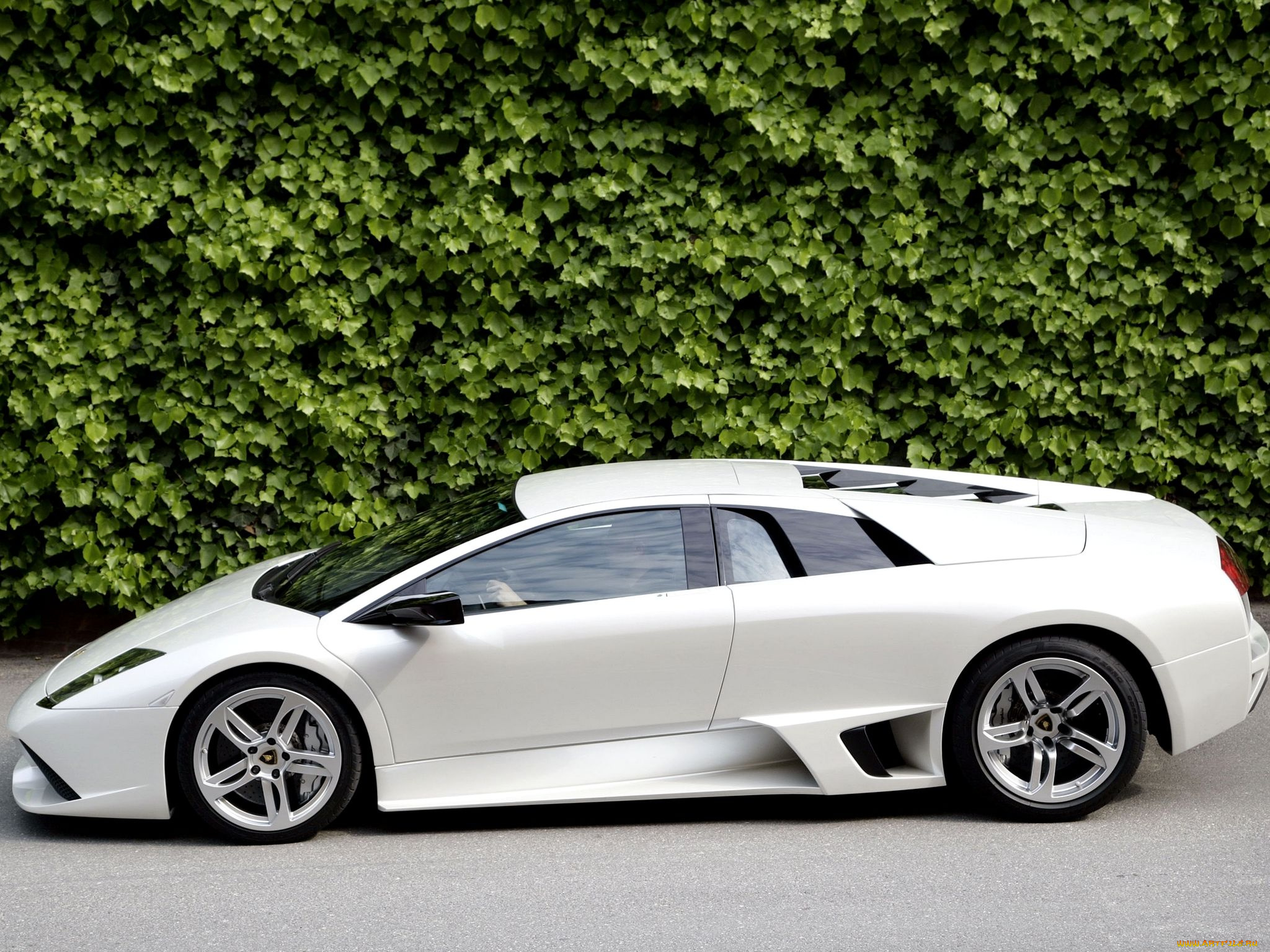 автомобили, lamborghini