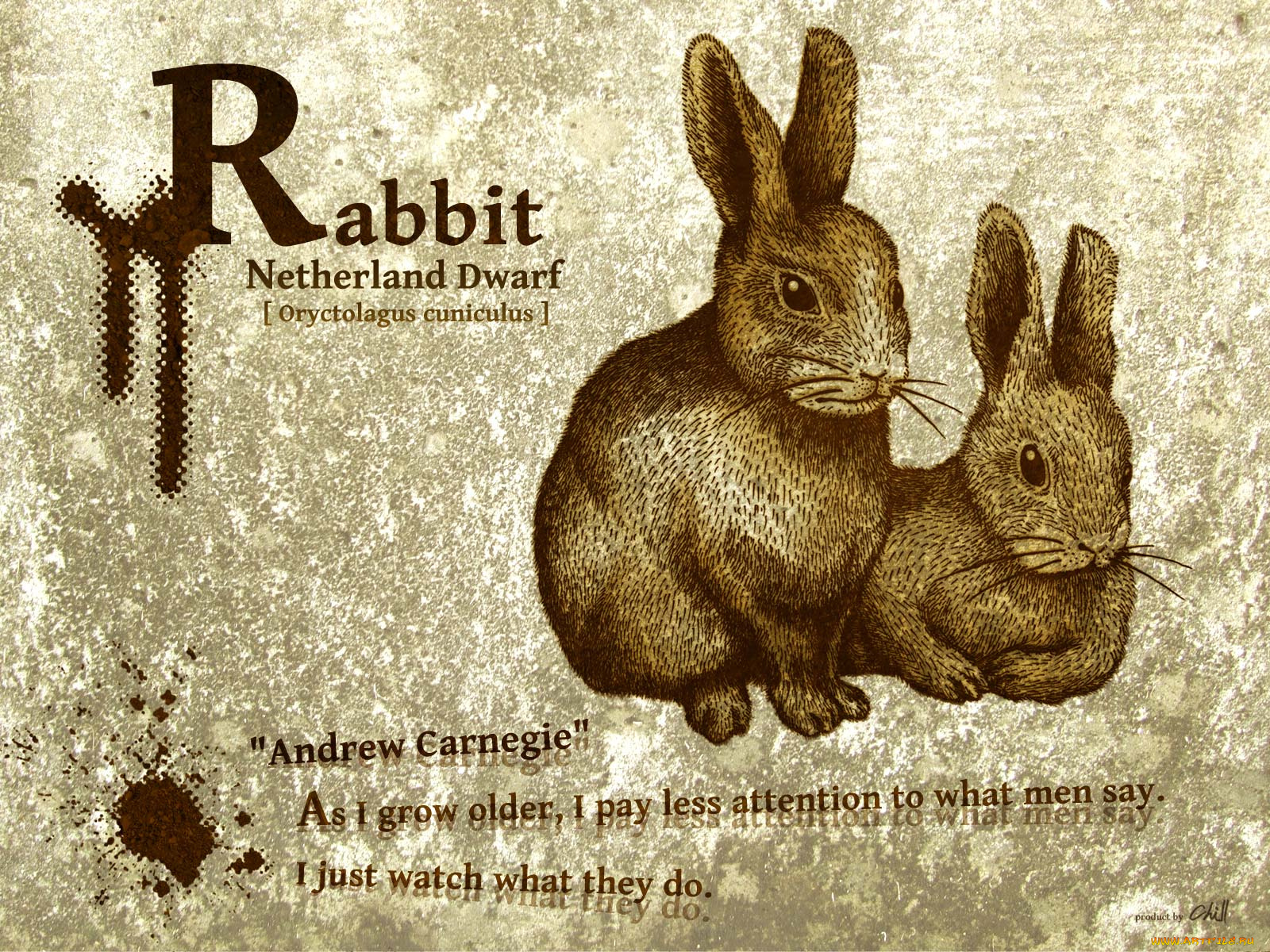 рисованные, животные