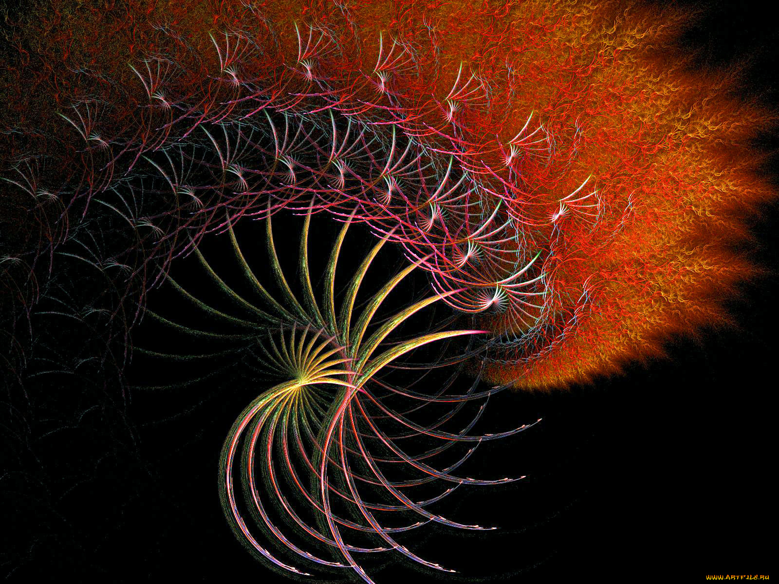 3д, графика, fractal, фракталы, фрактал, фон, узор