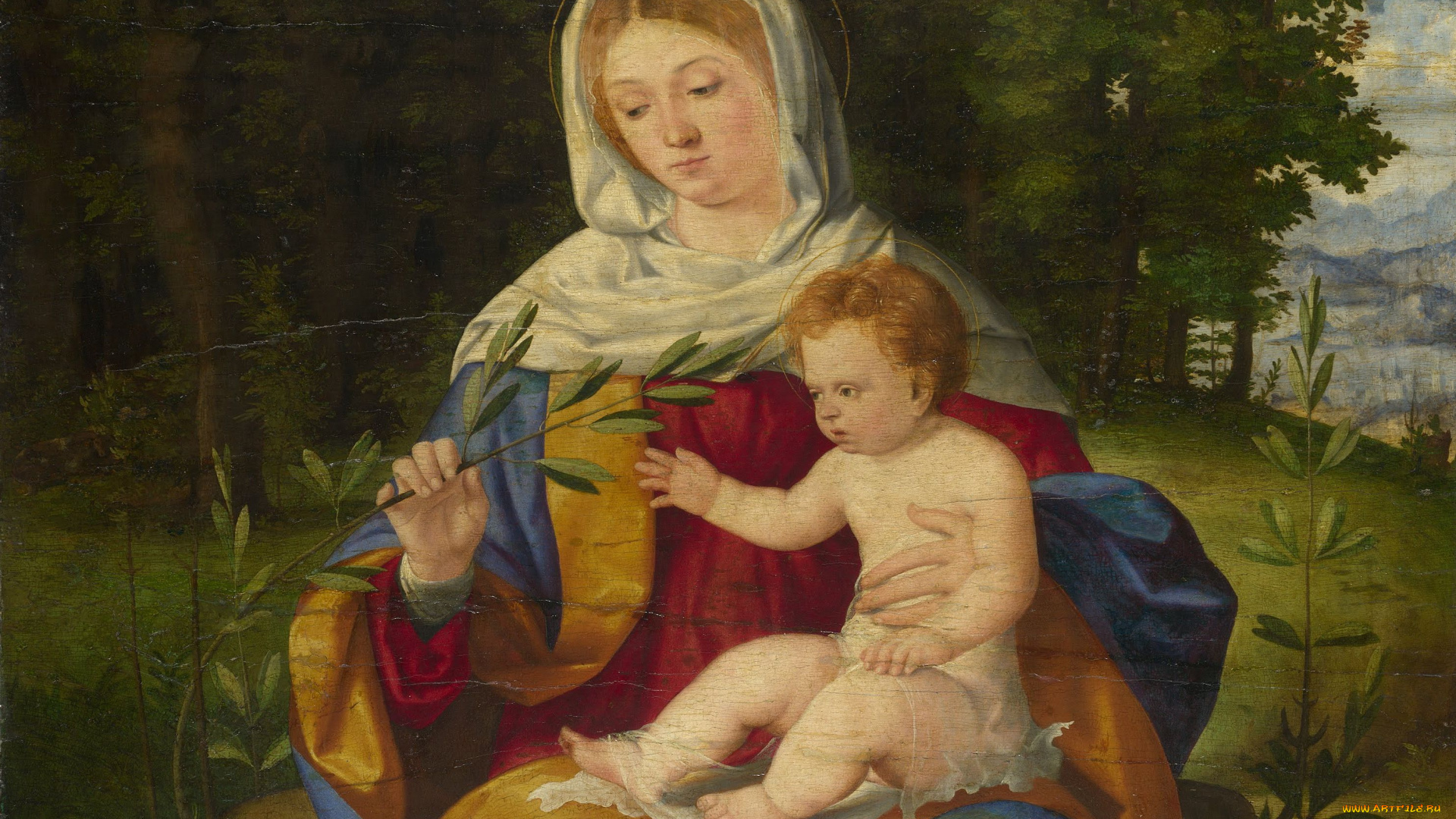 andrea, previtali, the, virgin, and, child, with, shoot, of, olive, рисованные