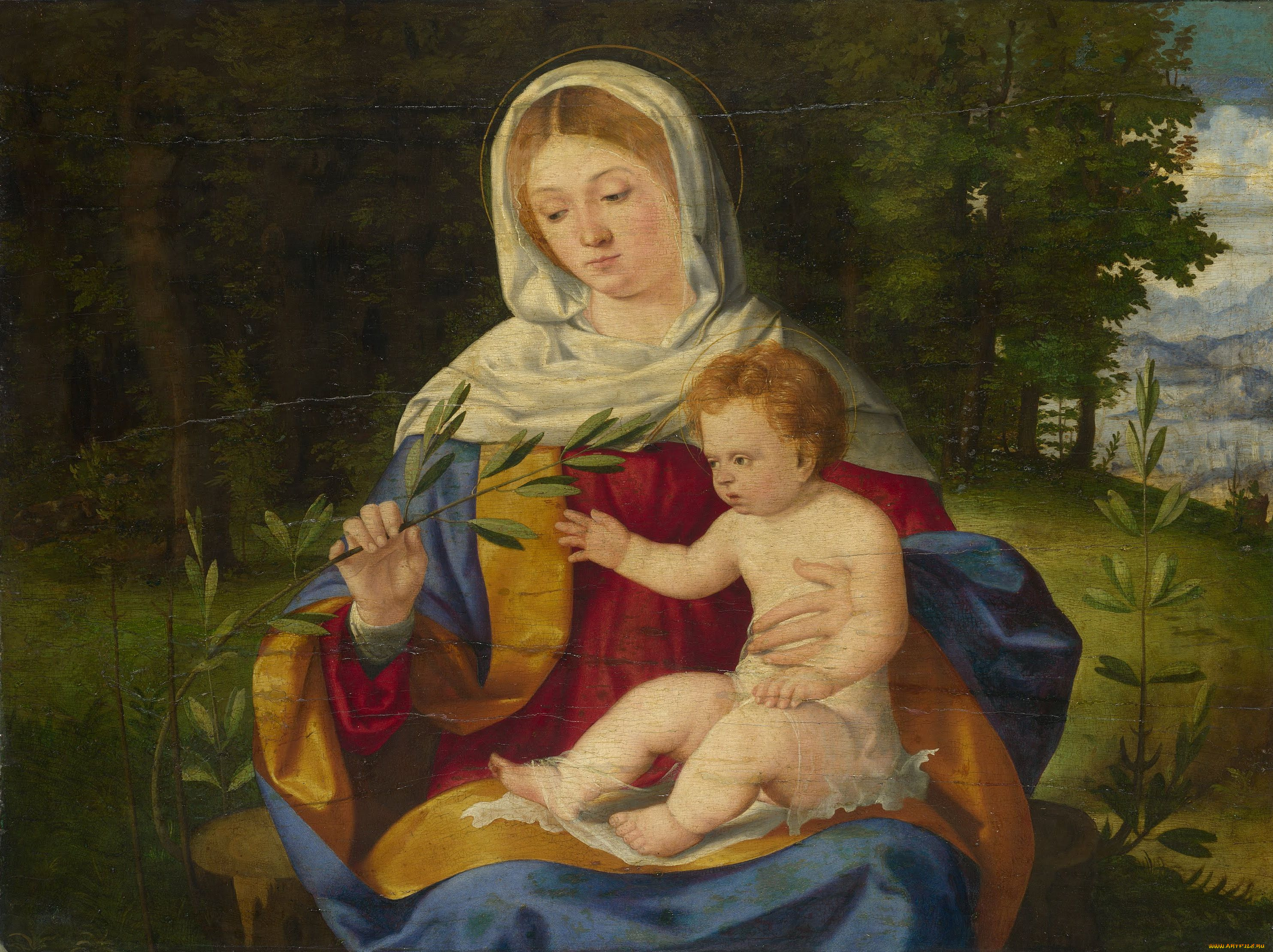 andrea, previtali, the, virgin, and, child, with, shoot, of, olive, рисованные