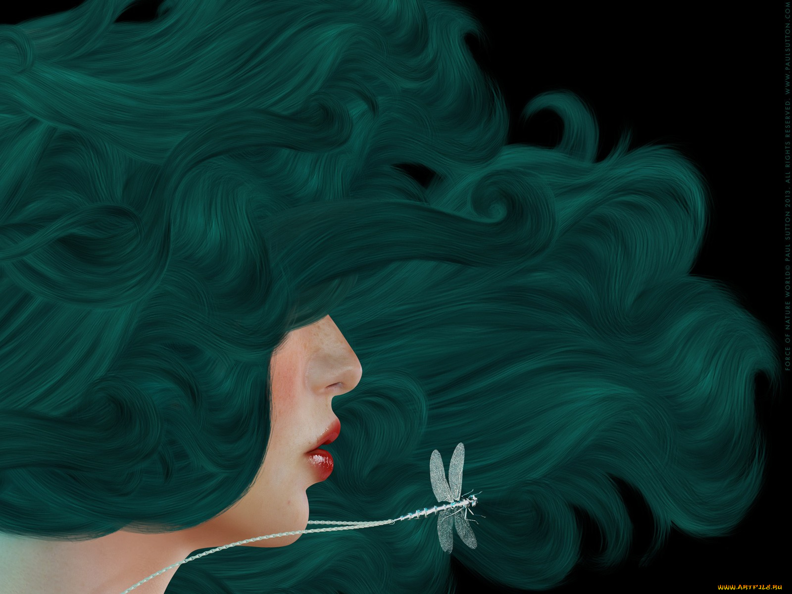 рисованные, люди, волос, стрекоза, губы