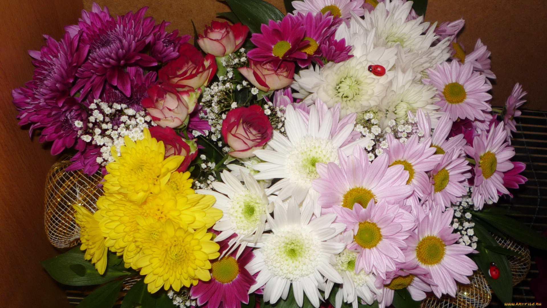цветы, букеты, композиции, розы, букет, хризантемы